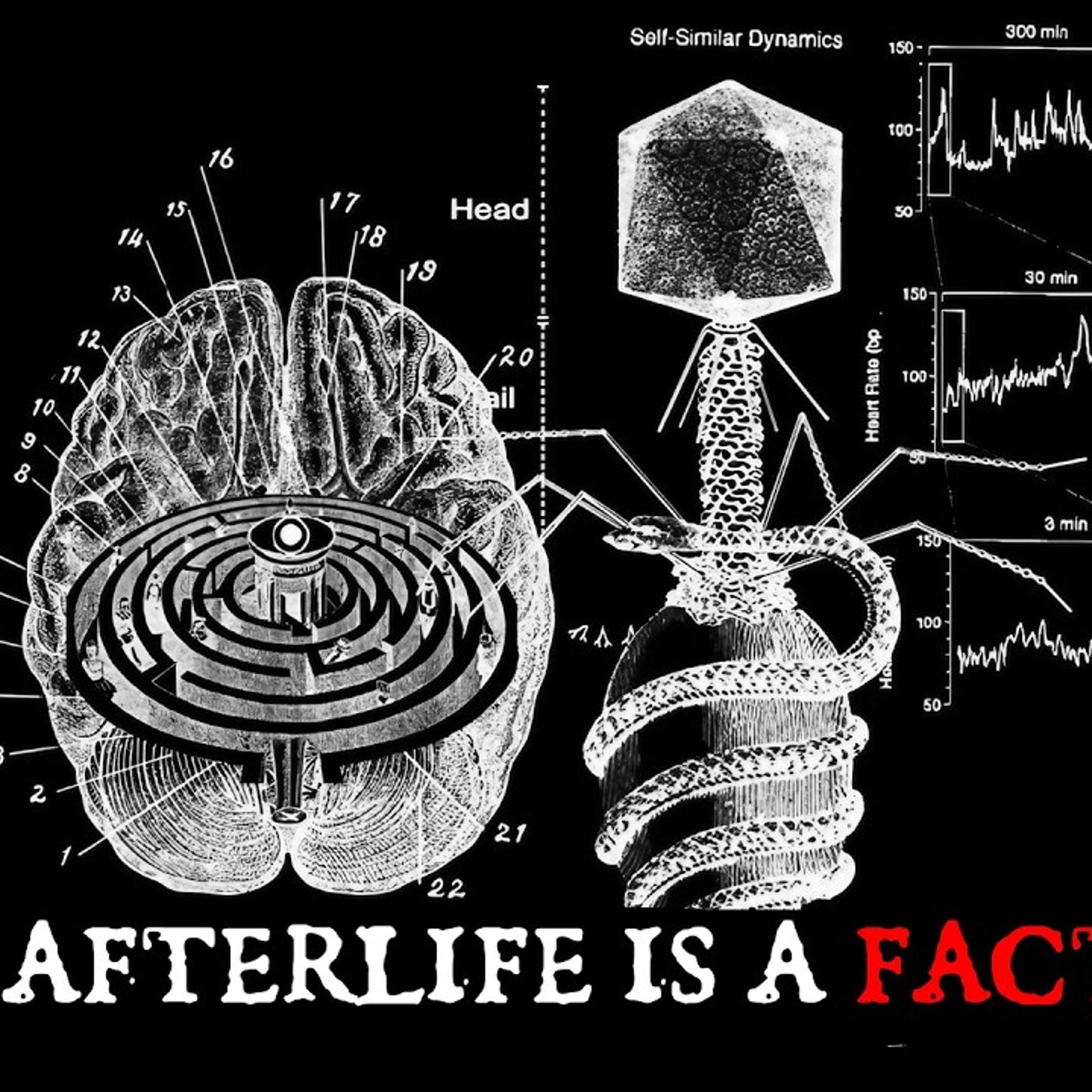 The Afterlife Is A PROCESSING Plant episode artwork