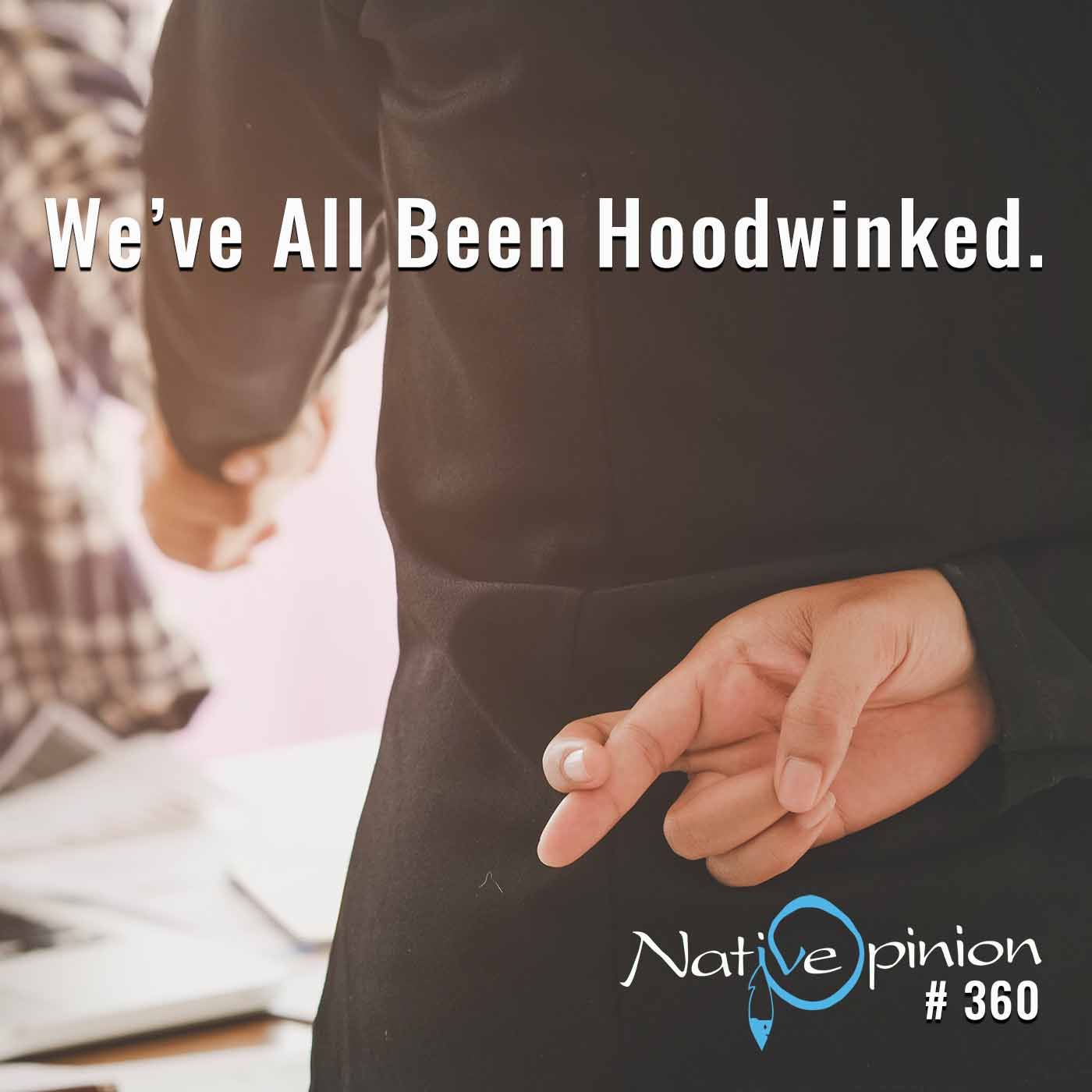 EPISODE 360  "We've All Been Hoodwinked." - podcast episode cover