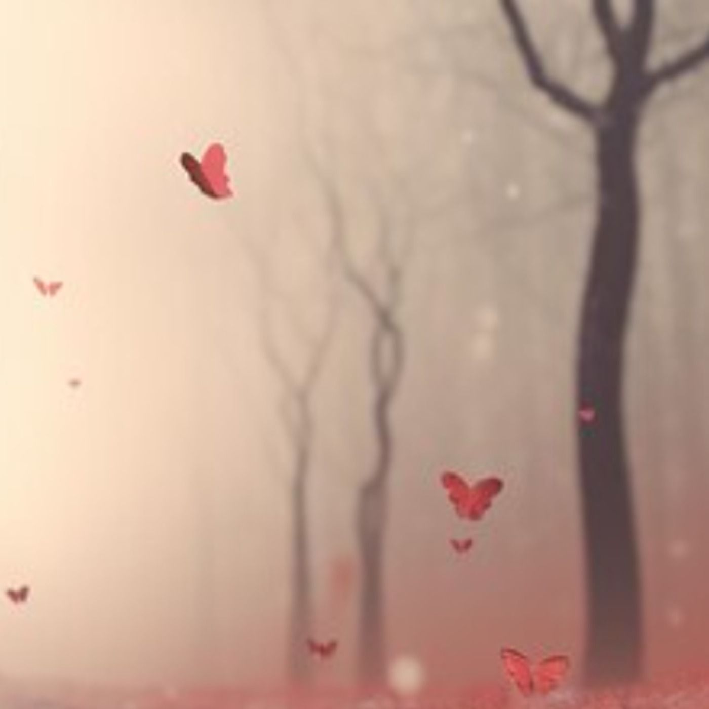 How to Command Respect: Boundaries, Self-Worth, and Being Treated Right