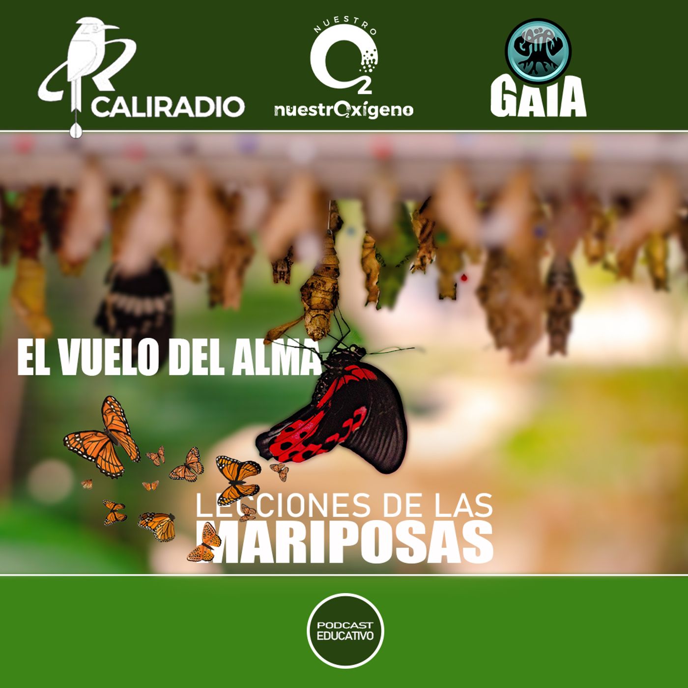 NUESTRO OXIGENO El vuelo del alma - lecciones de las mariposas episode artwork