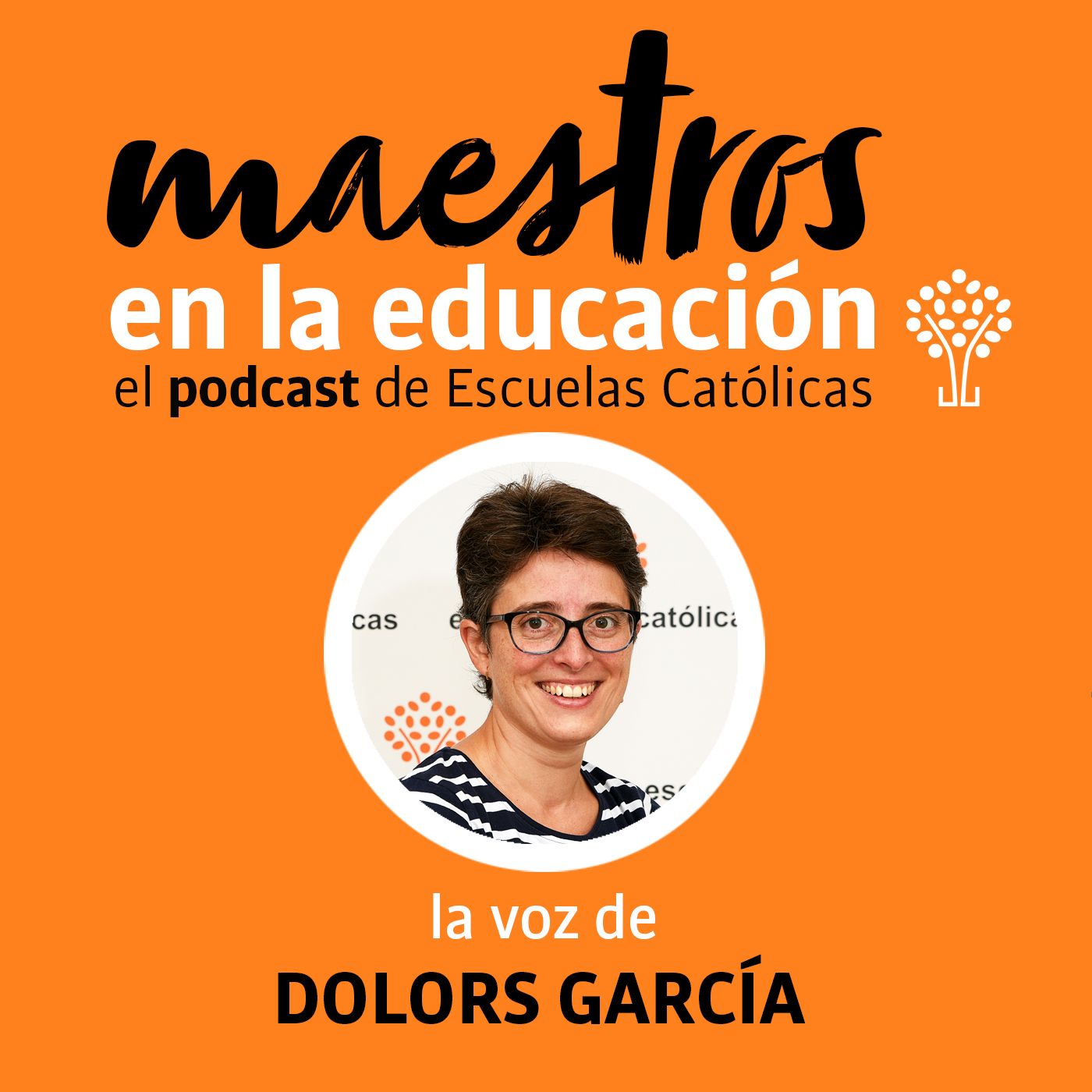 Maestros en la educación