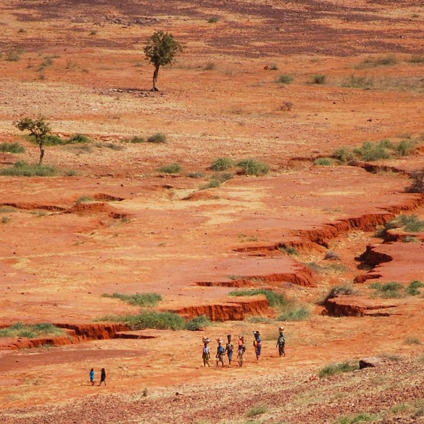 Le journal du 12 août 2025 - Plateforme de journalistes dédiée aux enjeux de l’agroécologie et du climat à Niamey episode artwork