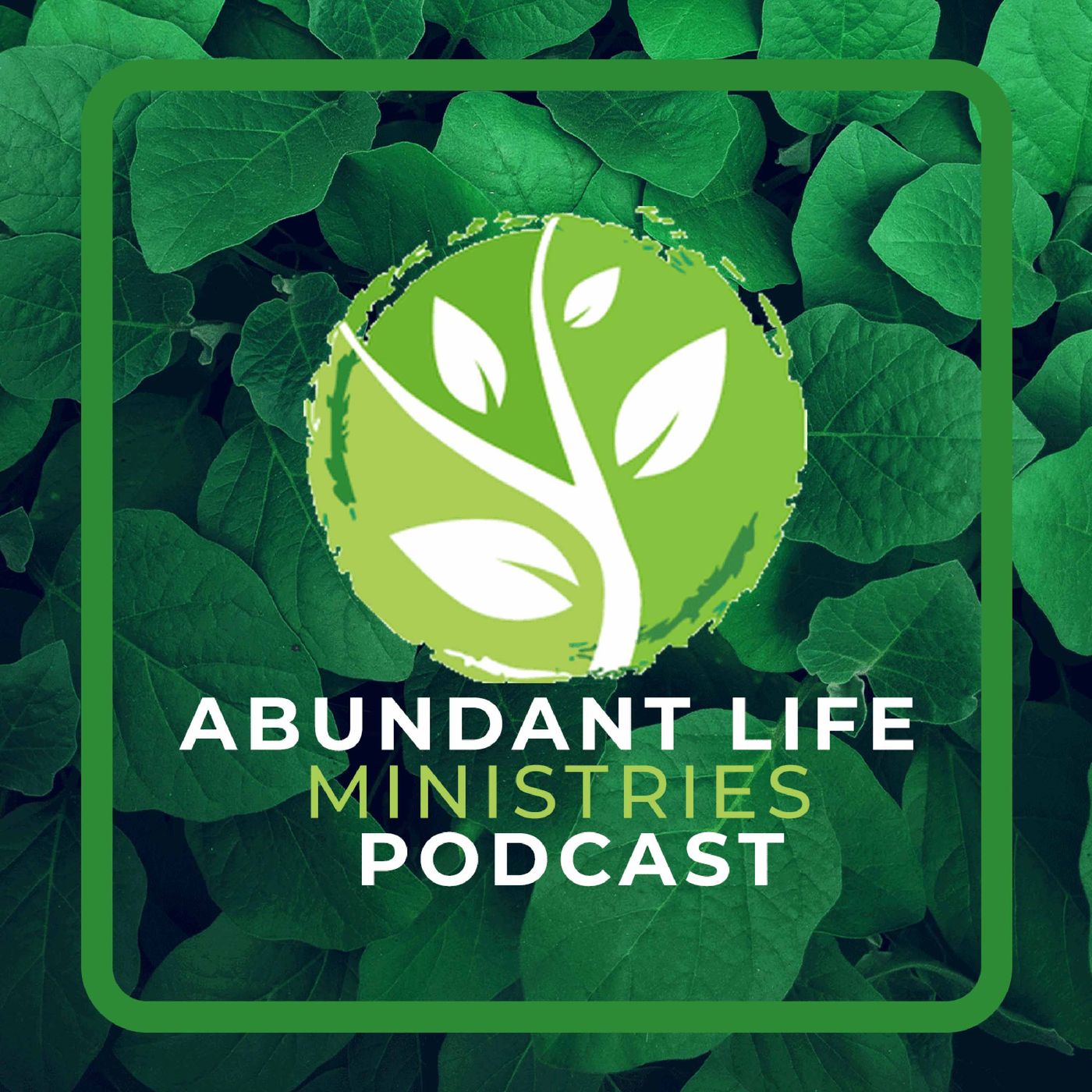 Abundant Life Ministries Podcast