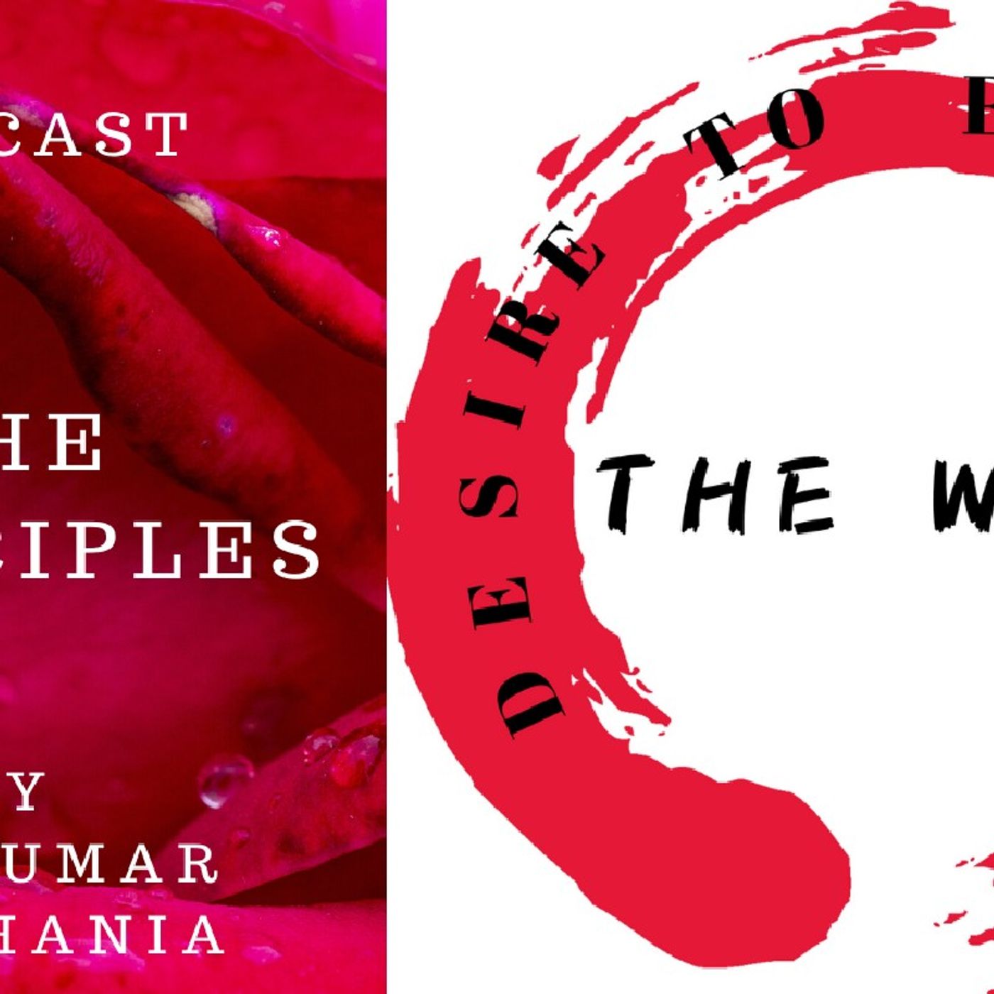 Principles Of The Way