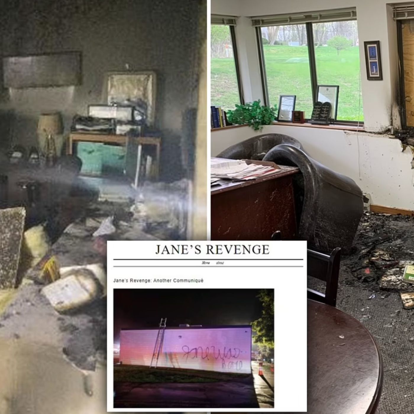 156. Jane's Revenge: America's Pro-Choice Militants