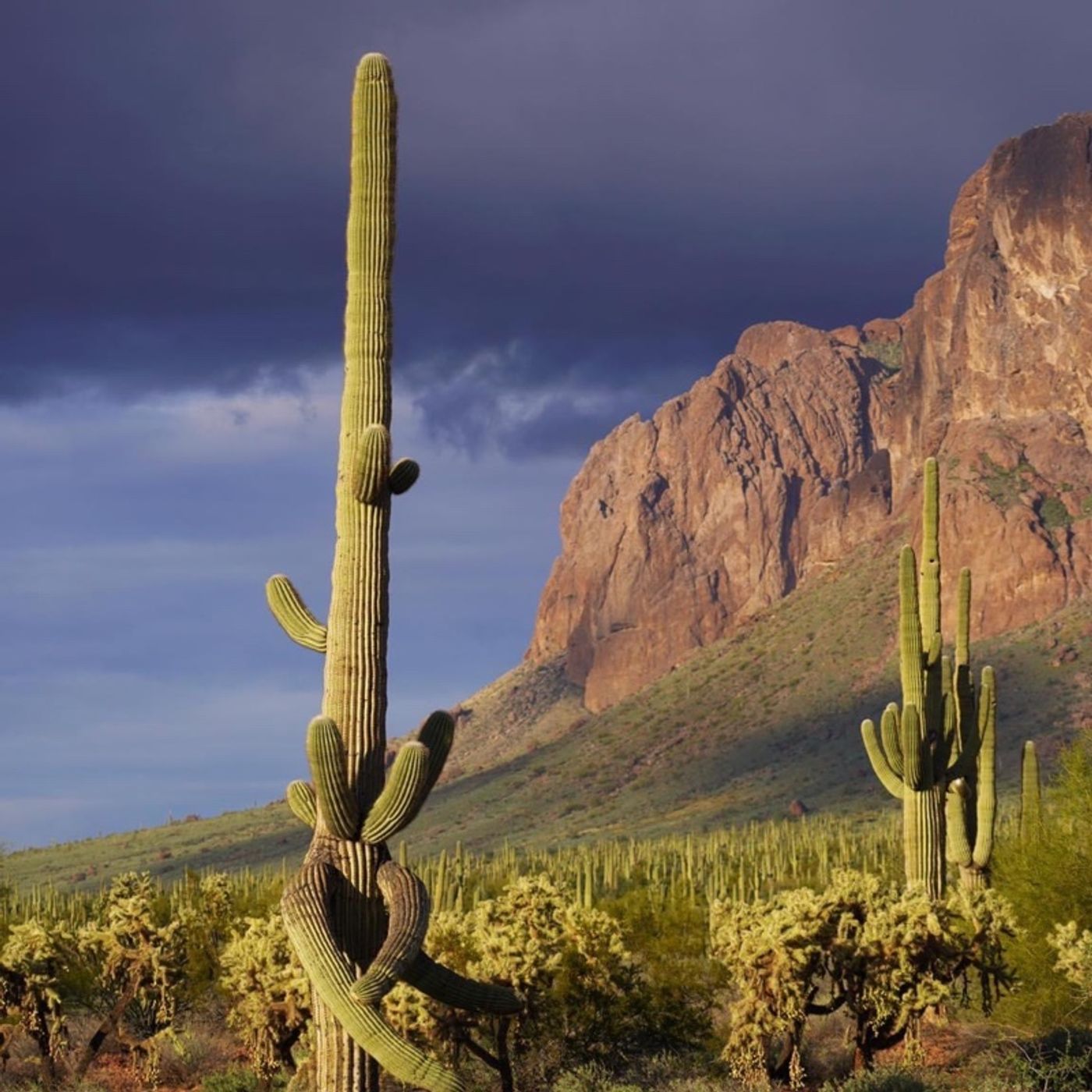 John Zegar\'s Thoughts & Travels