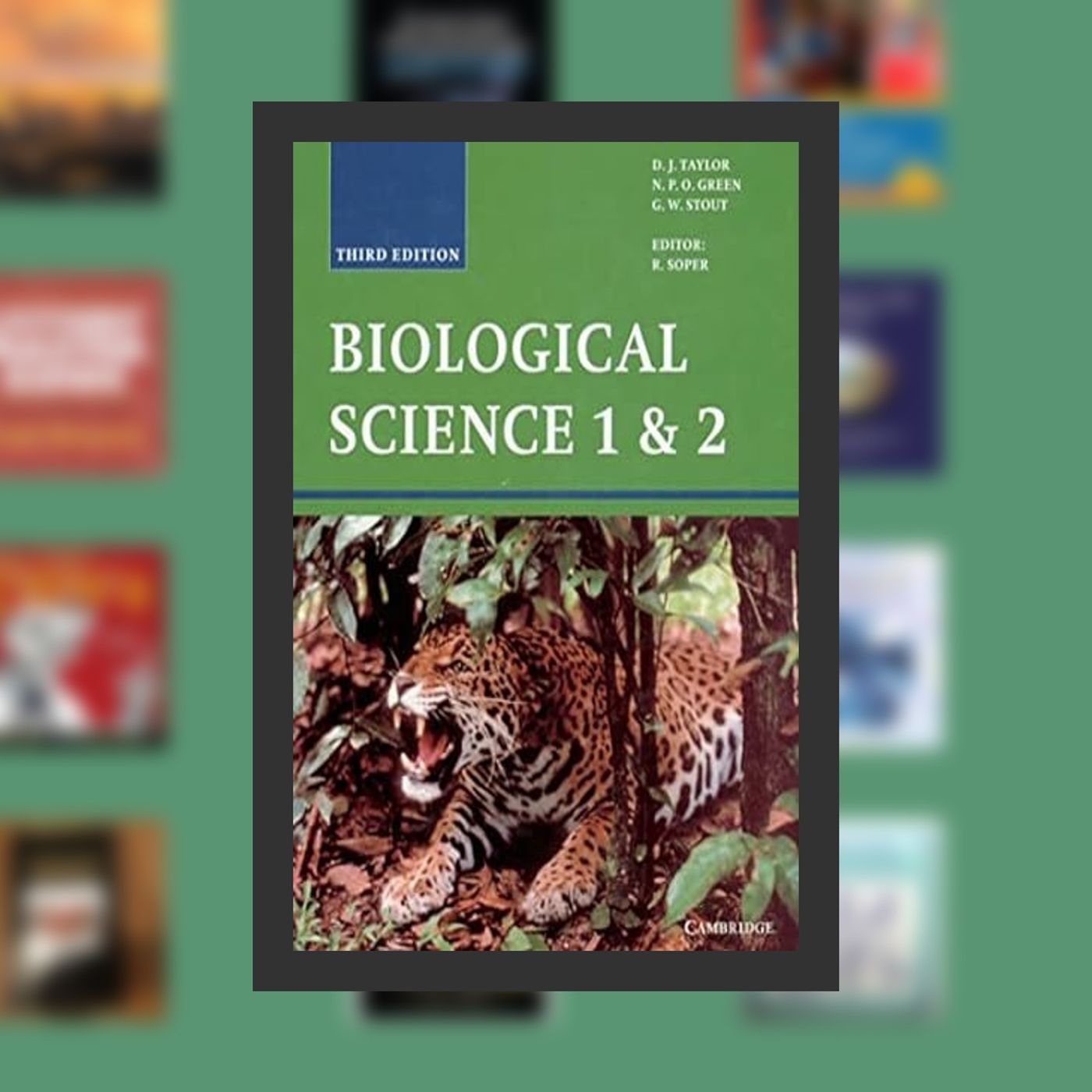 bestbook get it now