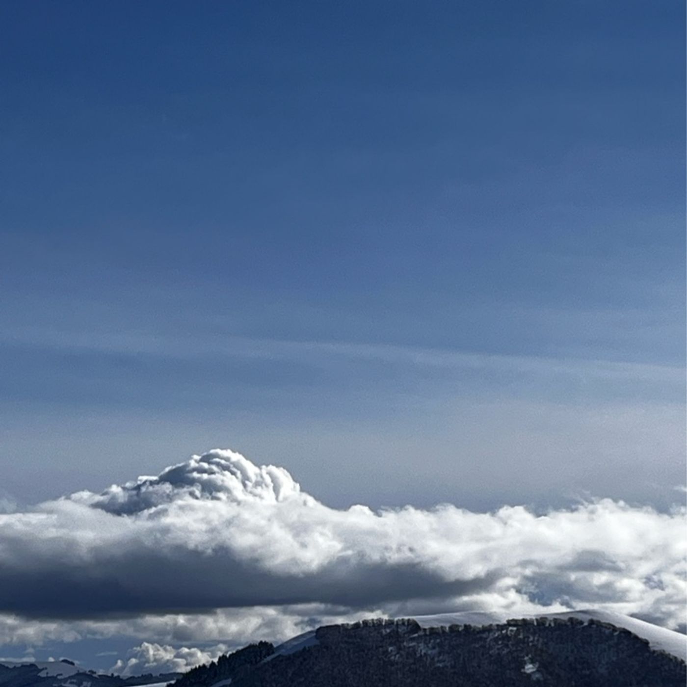 La legge di minoranza e il rischio