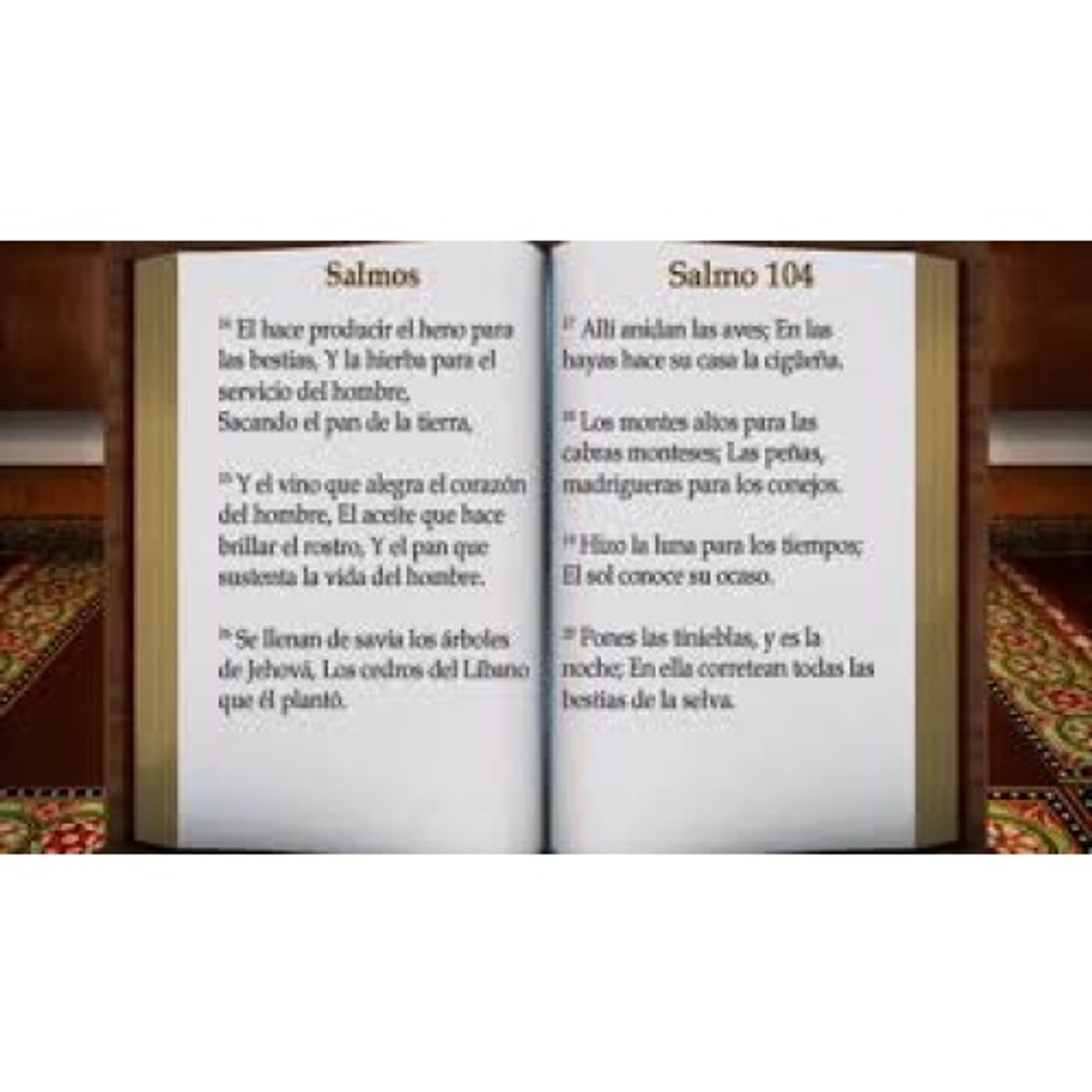 El libro de los Salmos del 97 al 150 - Version Reina Valera.
