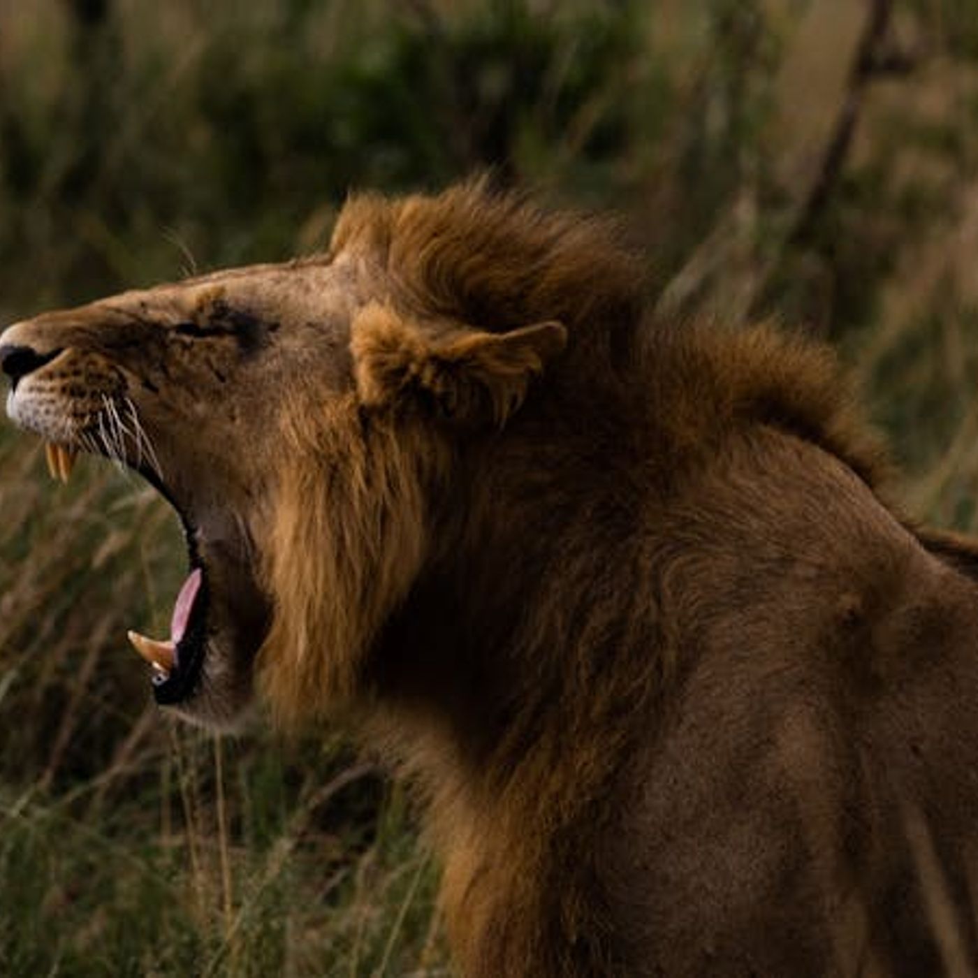 How Can Satan Harm Christians?