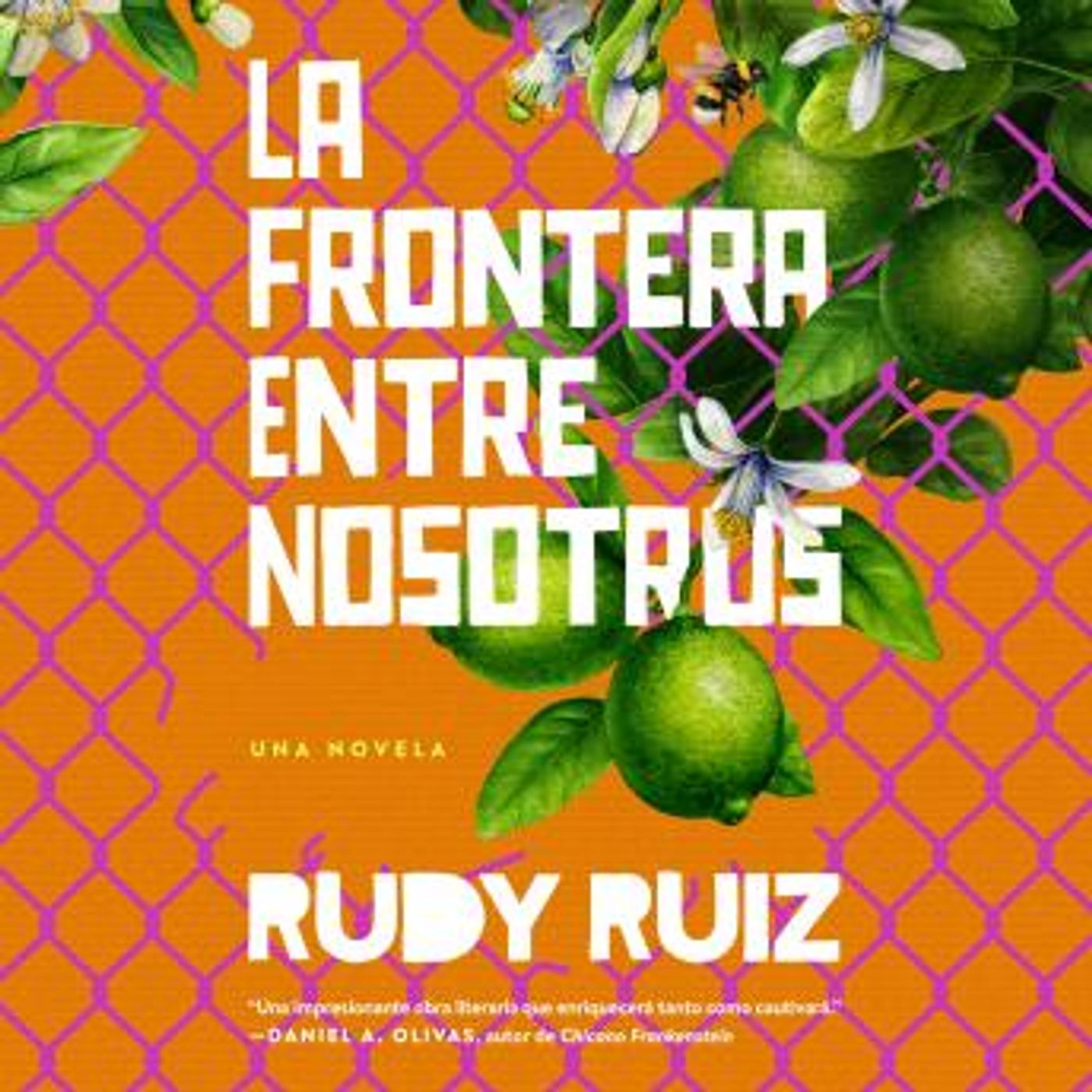Enjoy Amazing Free Audiobooks in Fiction, Coming of Age