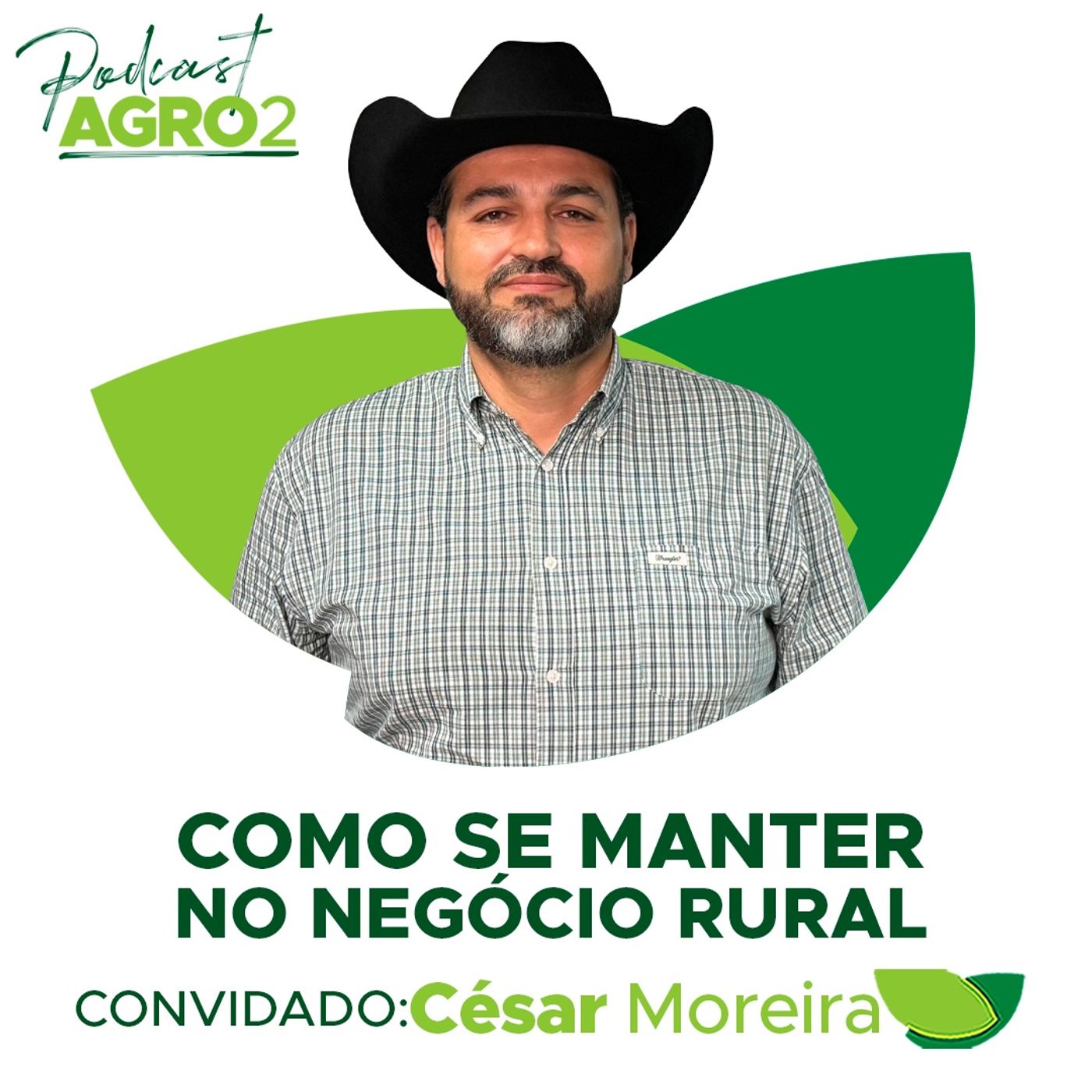 Verticalizar no campo: o desafio dos processos e a realidade do mercado #368 episode artwork