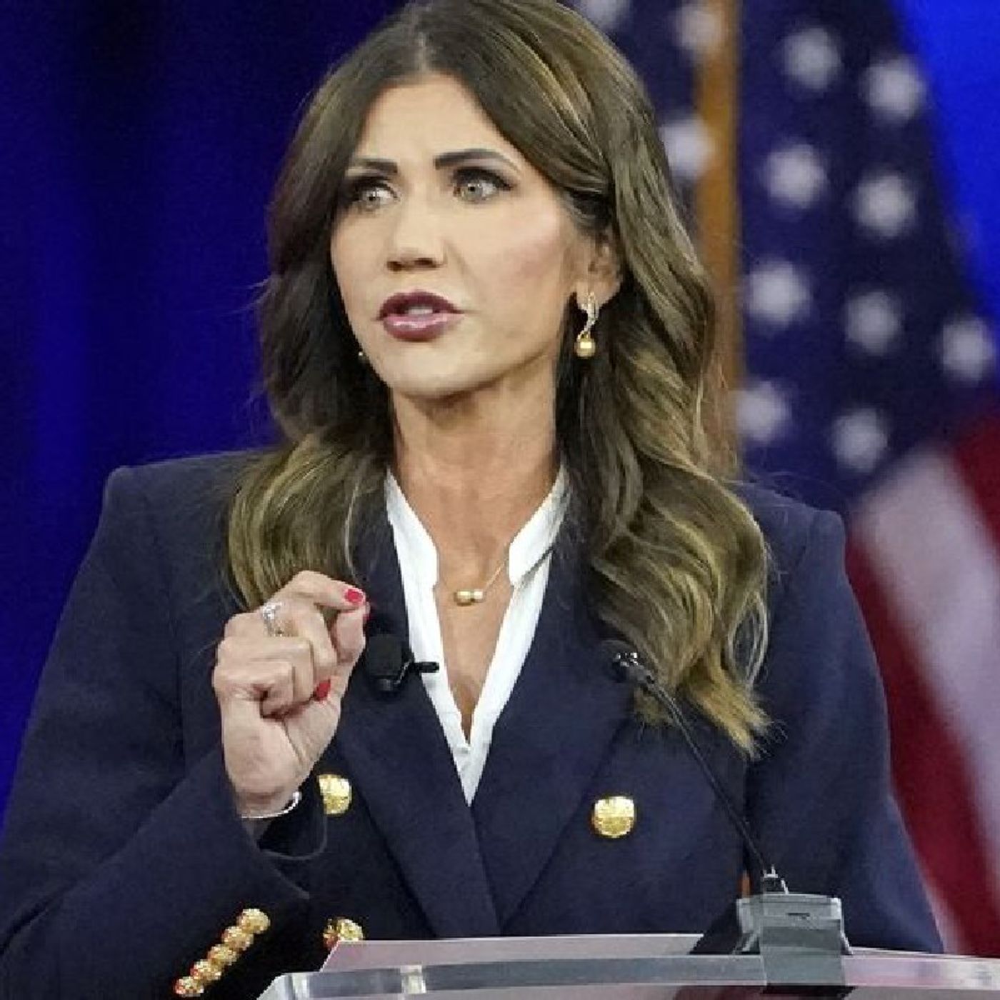 The True Conservative