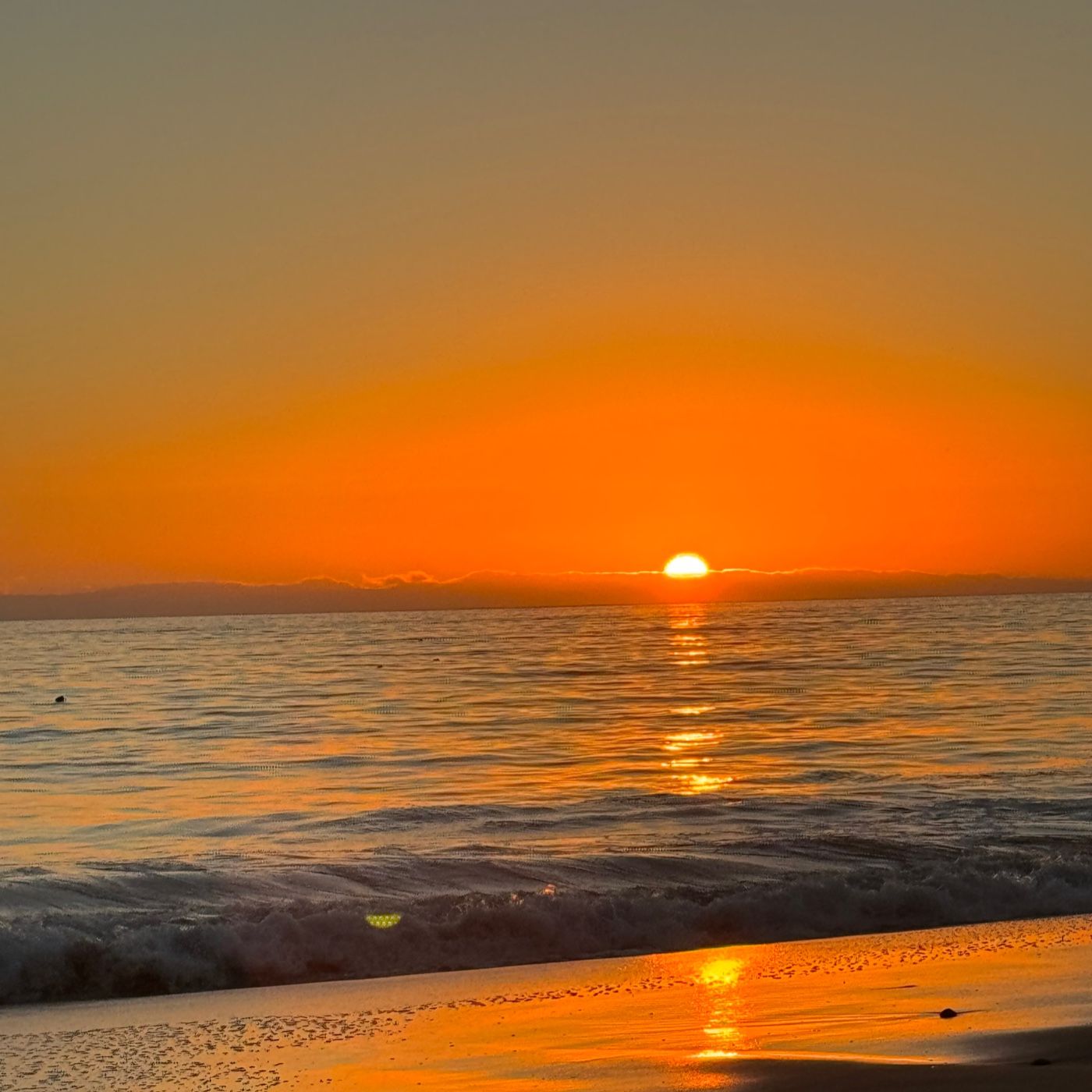 The Cloud Of Witnesses In The Courts Of