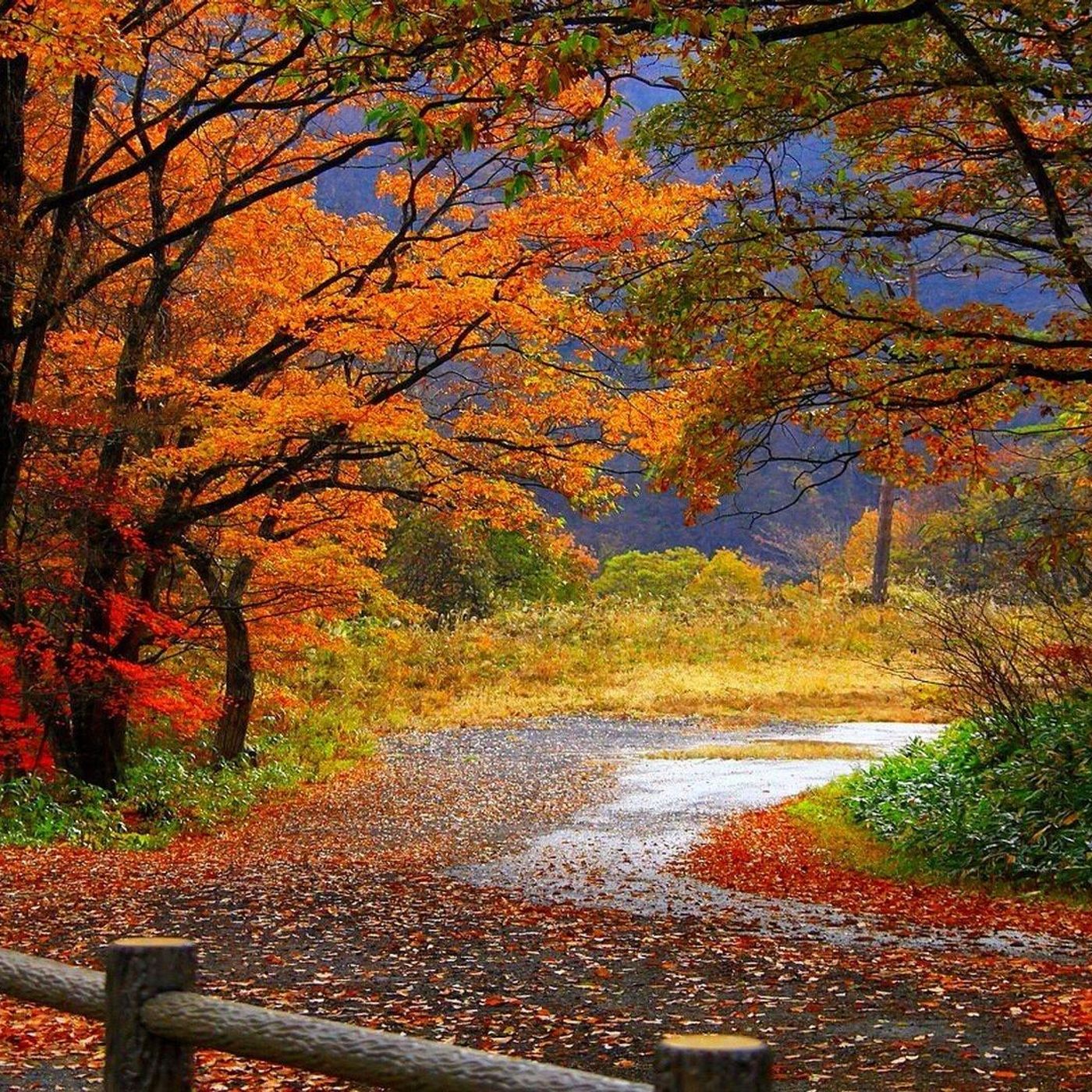 L'equinozio d'autunno  quando e perche non e mai nella stessa data episode artwork