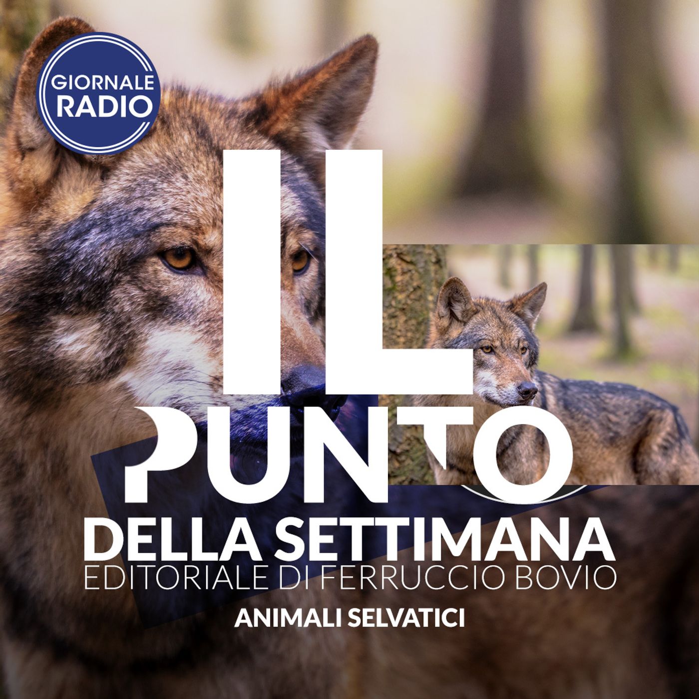 Il Punto della Settimana