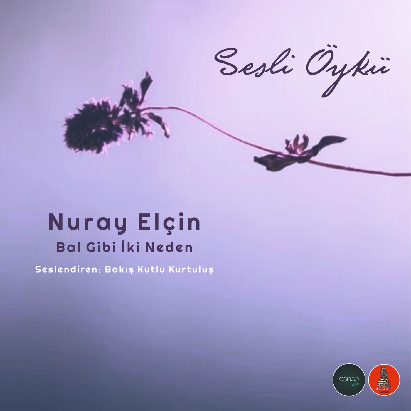 Öykü | Nuray Elçin - Bal Gibi İki Neden episode artwork
