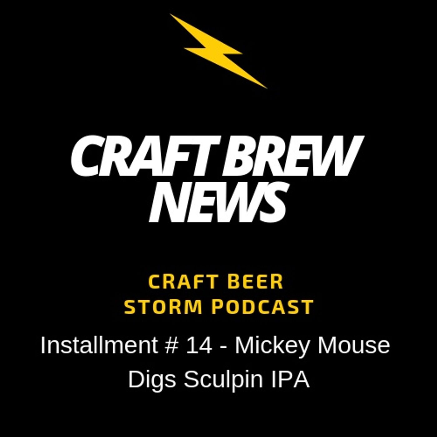 Craft Beer Storm