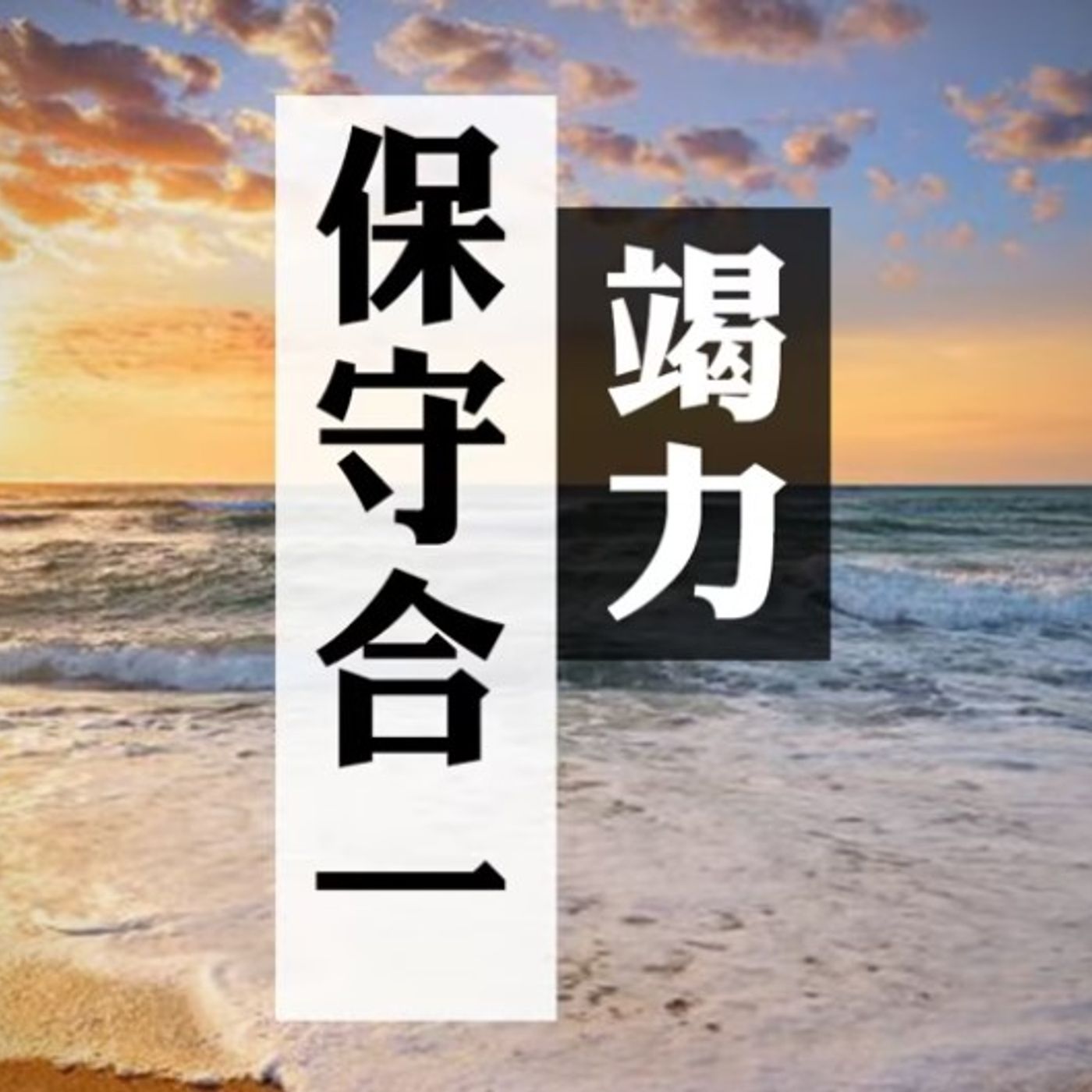 竭力保守合一 | Jim Cheung episode artwork