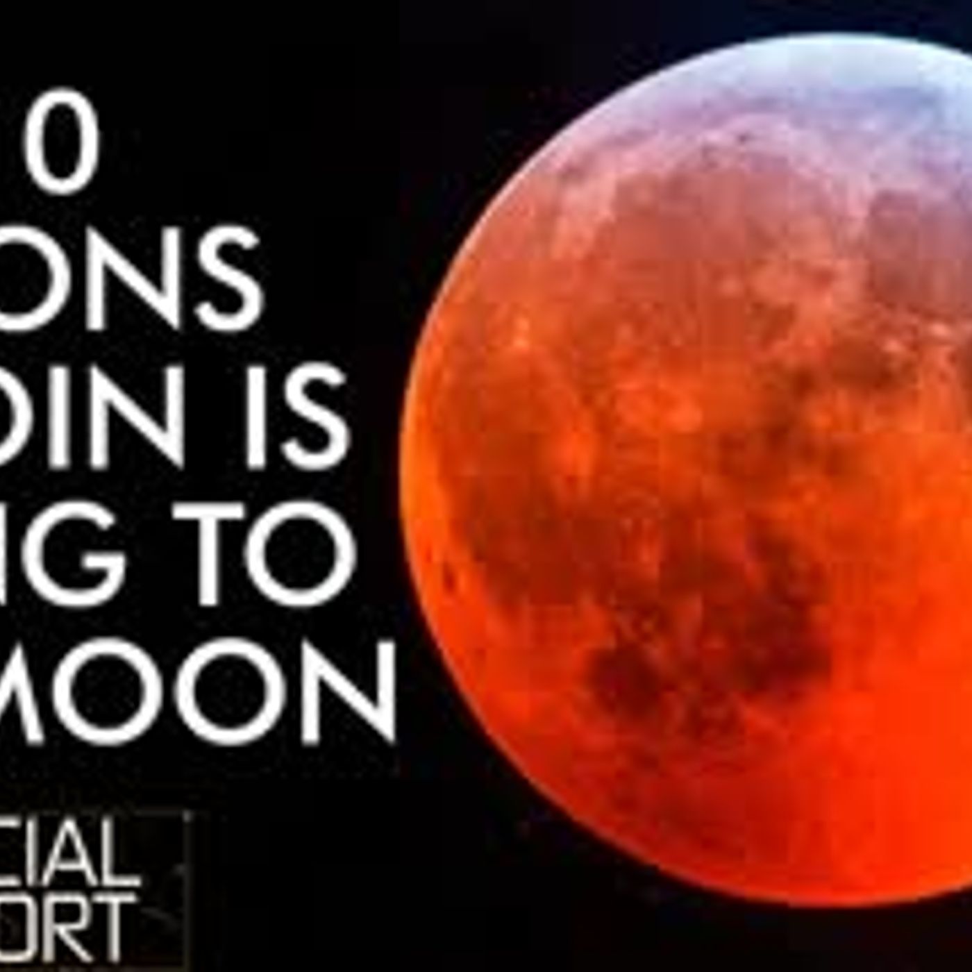 cover of episode Top 10 Reason Bitcoin Price Will Moon Hard