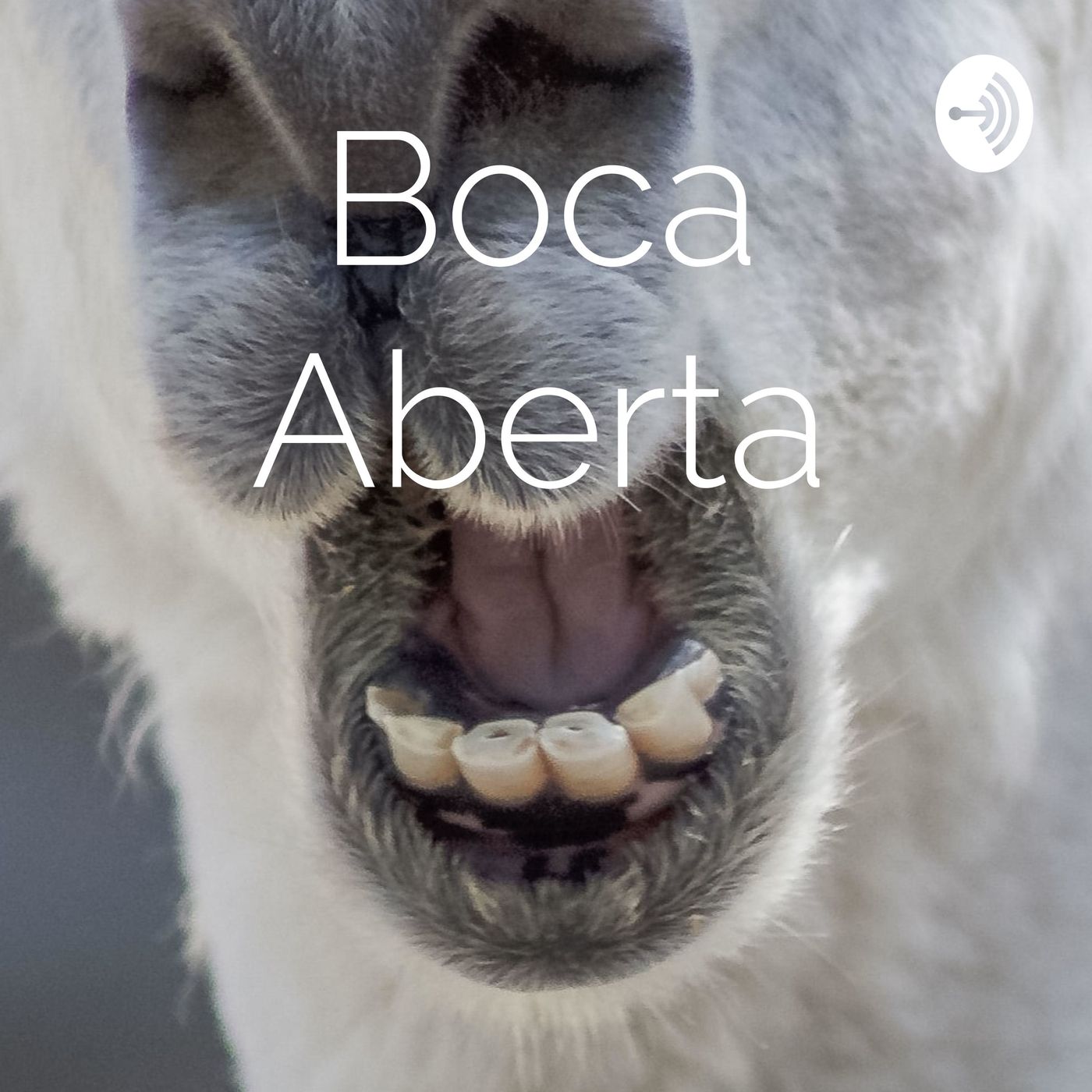 Boca Aberta