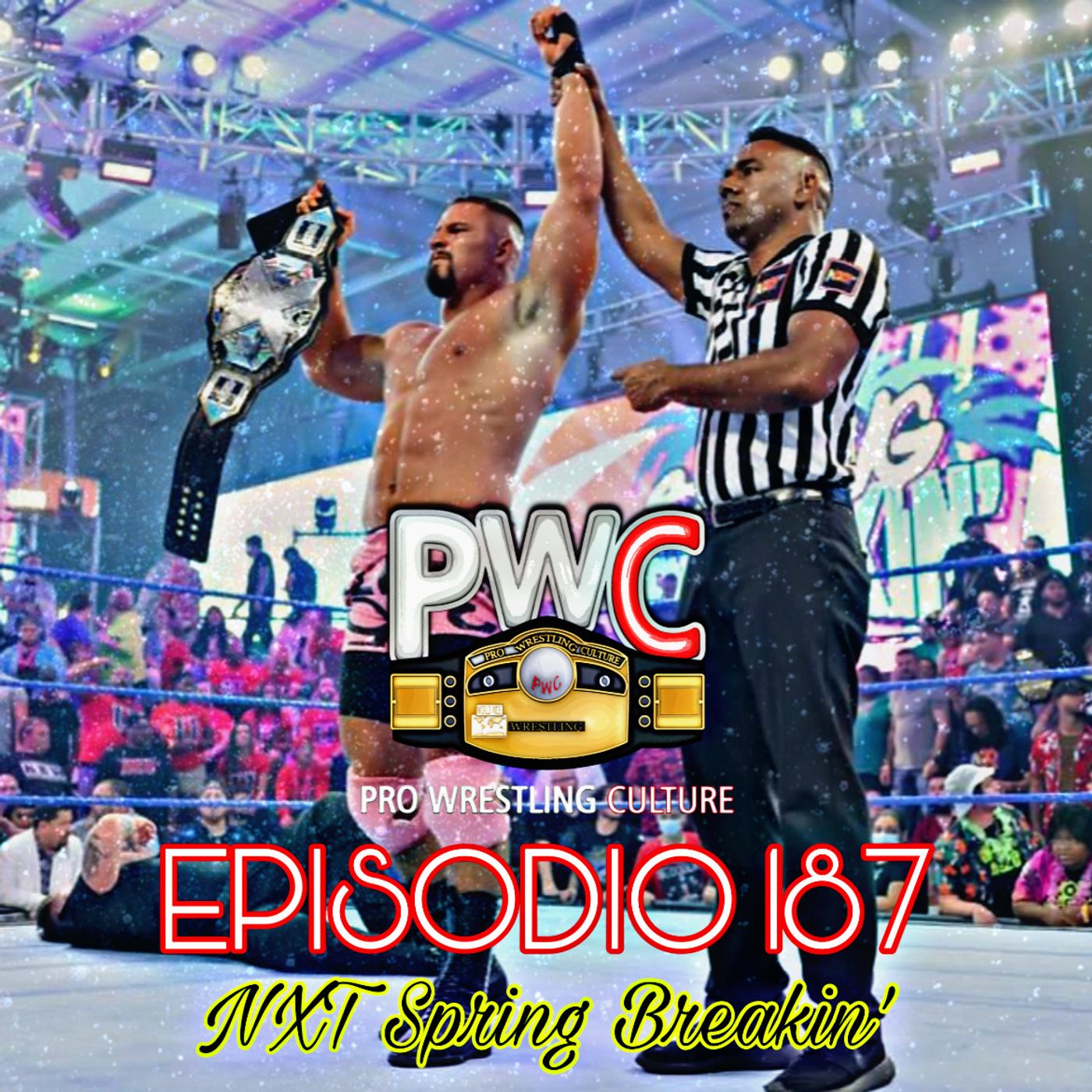 Pro Wrestling Culture