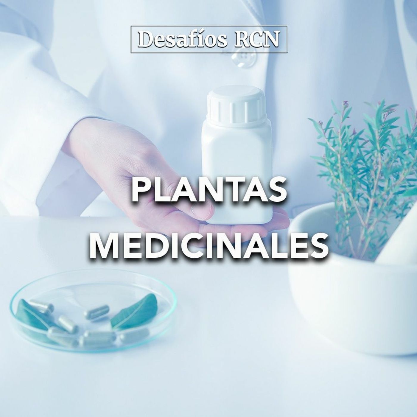 Plantas medicinales | Desafíos RCN-Javeriana episode artwork