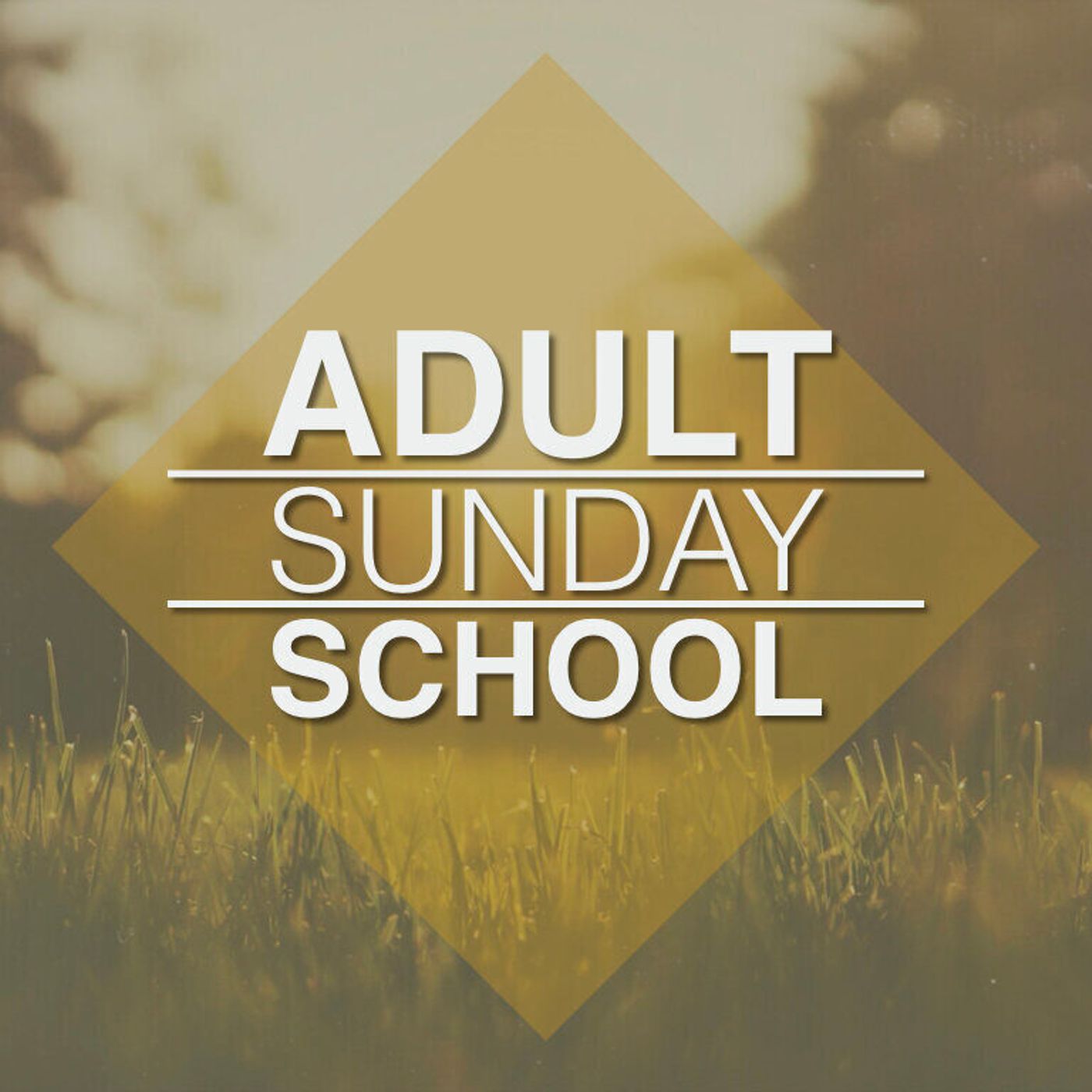 Adult Church School 1 podcast artwork