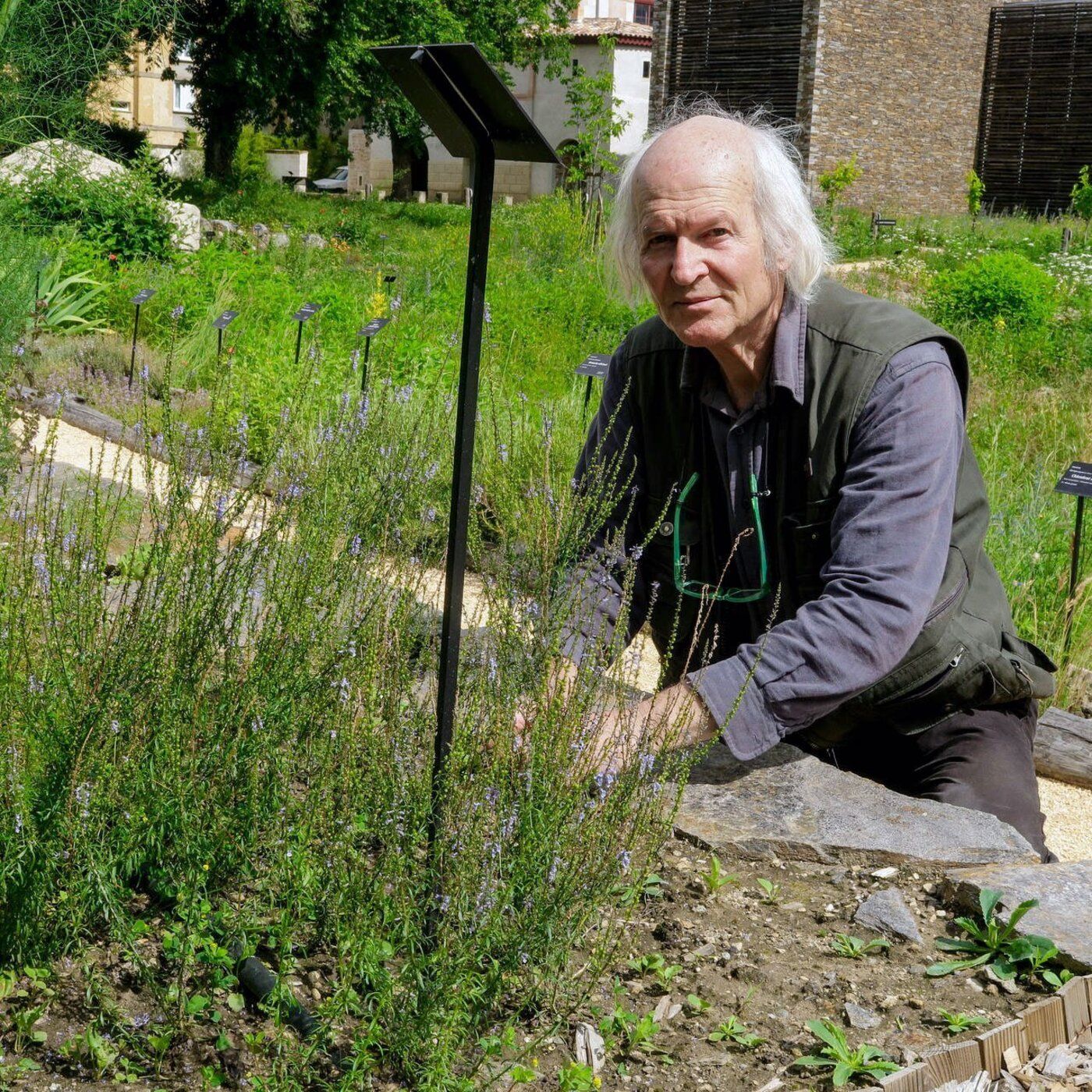Ballade ethnobotanique avec Alain Renaux : Episode 3 Les plantes toxiques