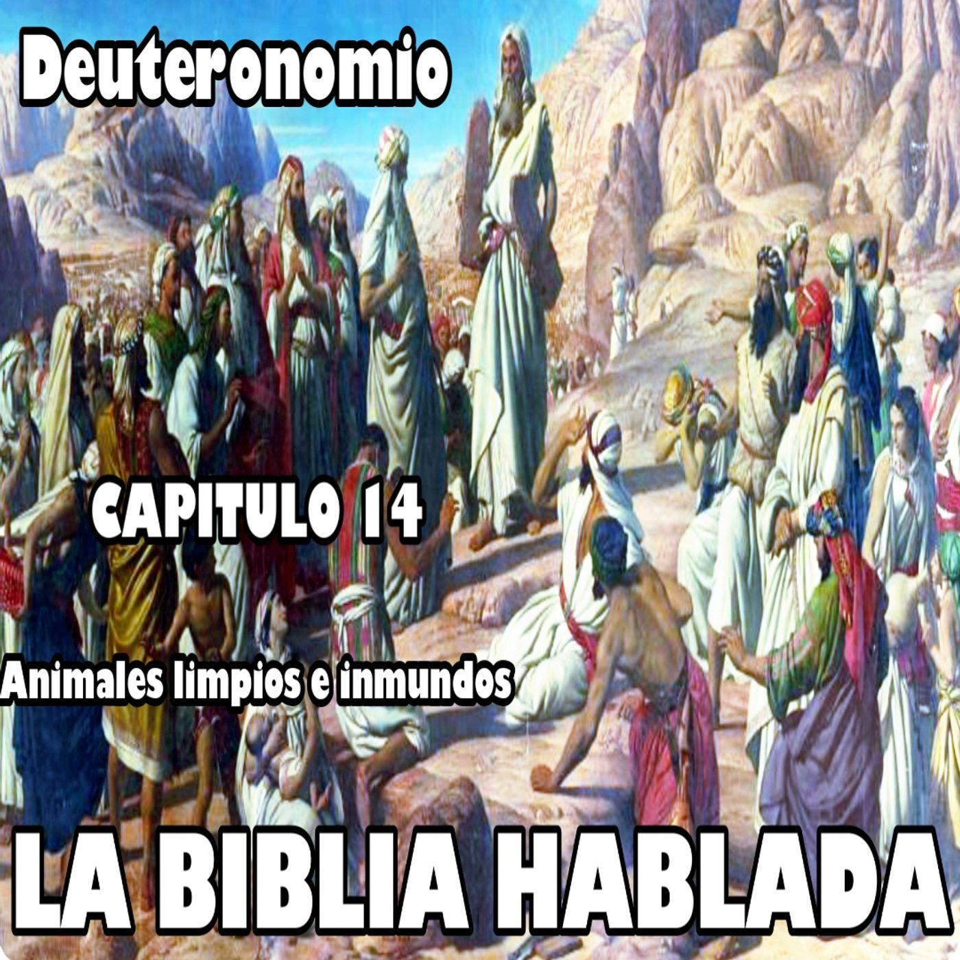 Deuteronomio Capitulo 14. Animales limpios e inmundos episode artwork