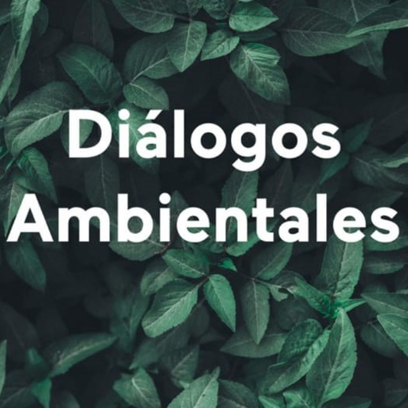 Diálogos Ambientales