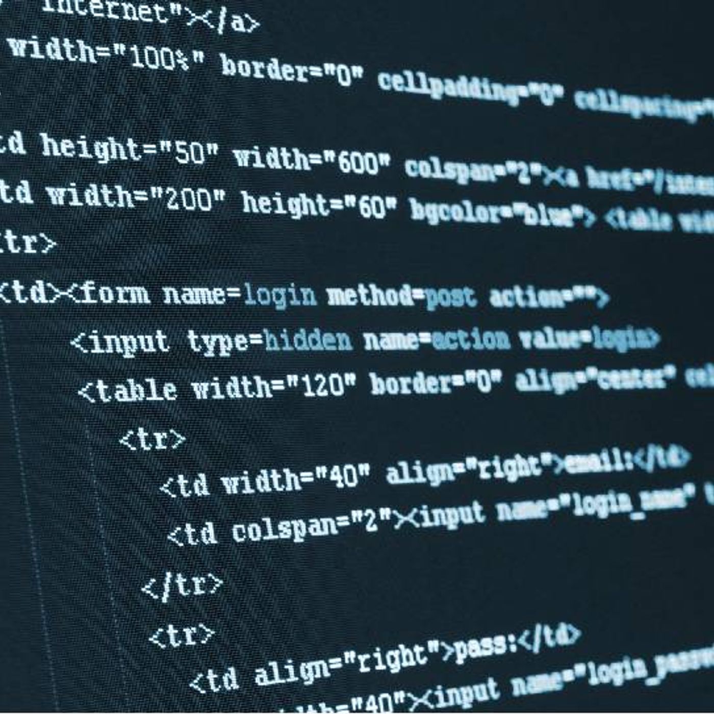 Mobile App Development vs. Mobile Web Development Which One Fits Your Business