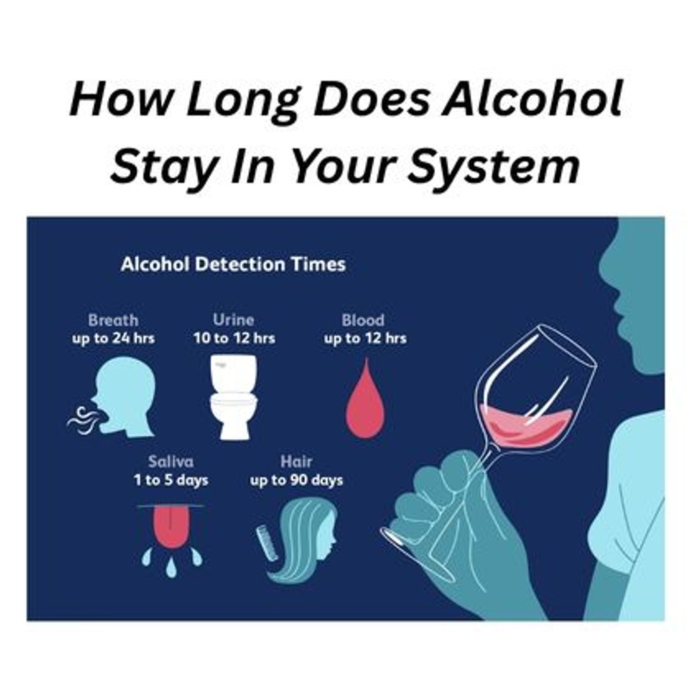 How Long Does Alcohol Stay In Your System? episode artwork