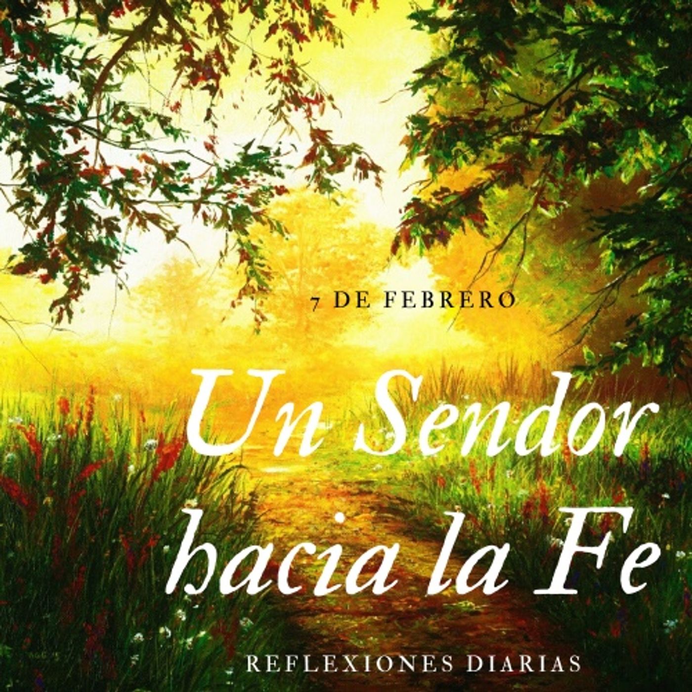 Reflexiones Diarias