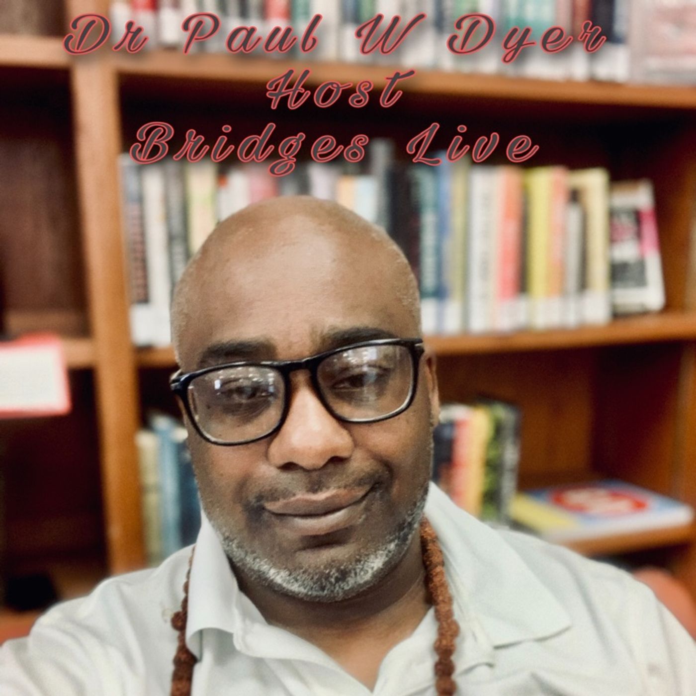 Episode 156 - Bridges With Dr Paul w Dyer episode artwork