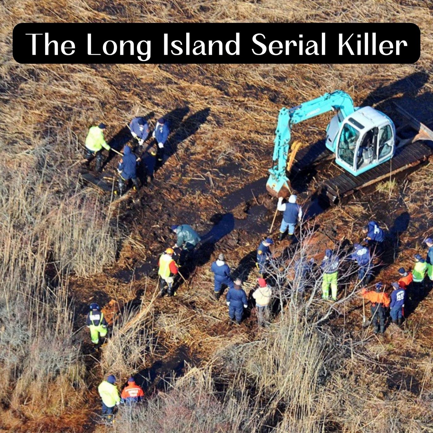 The Long Island Serial Killer