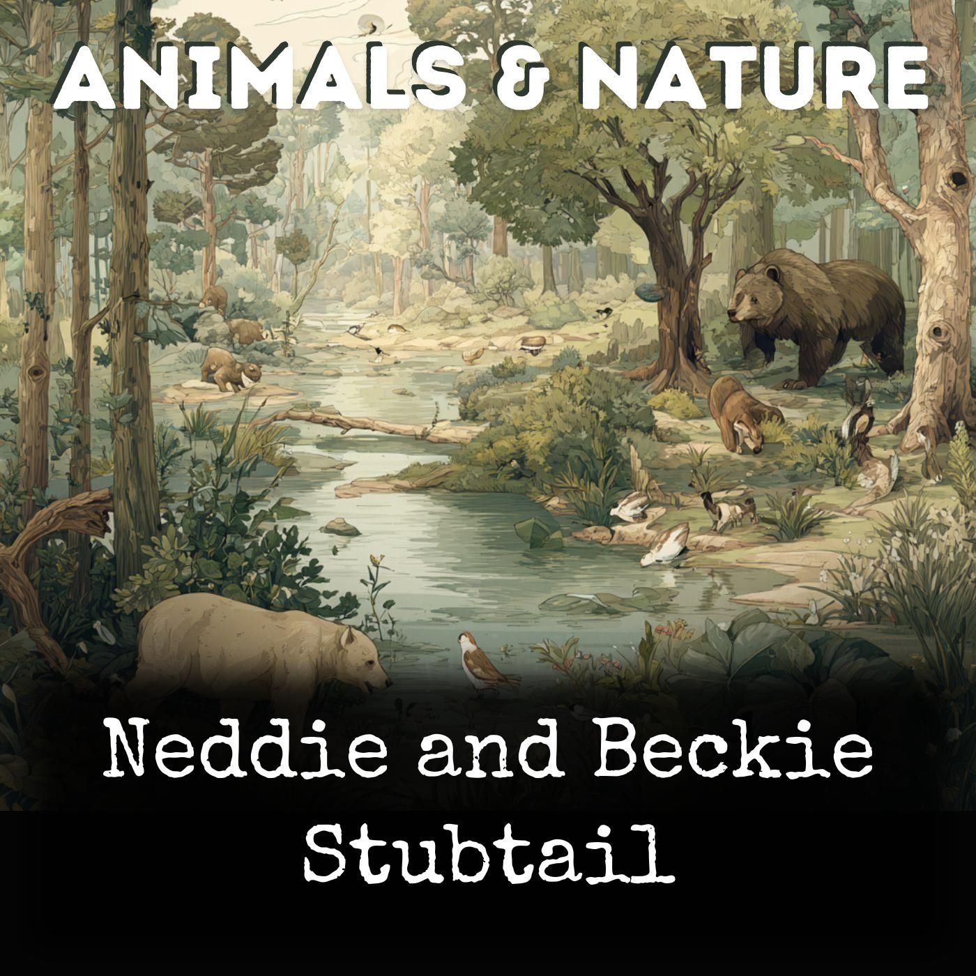 Neddie and Beckie Stubtail cover art