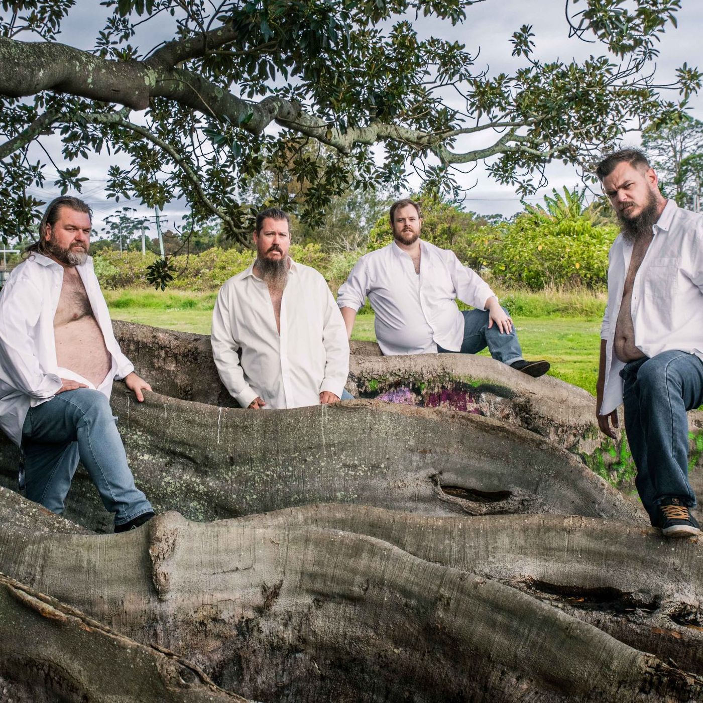 The Art Of Sonic Seduction With DAN MAYNARD From VEAL