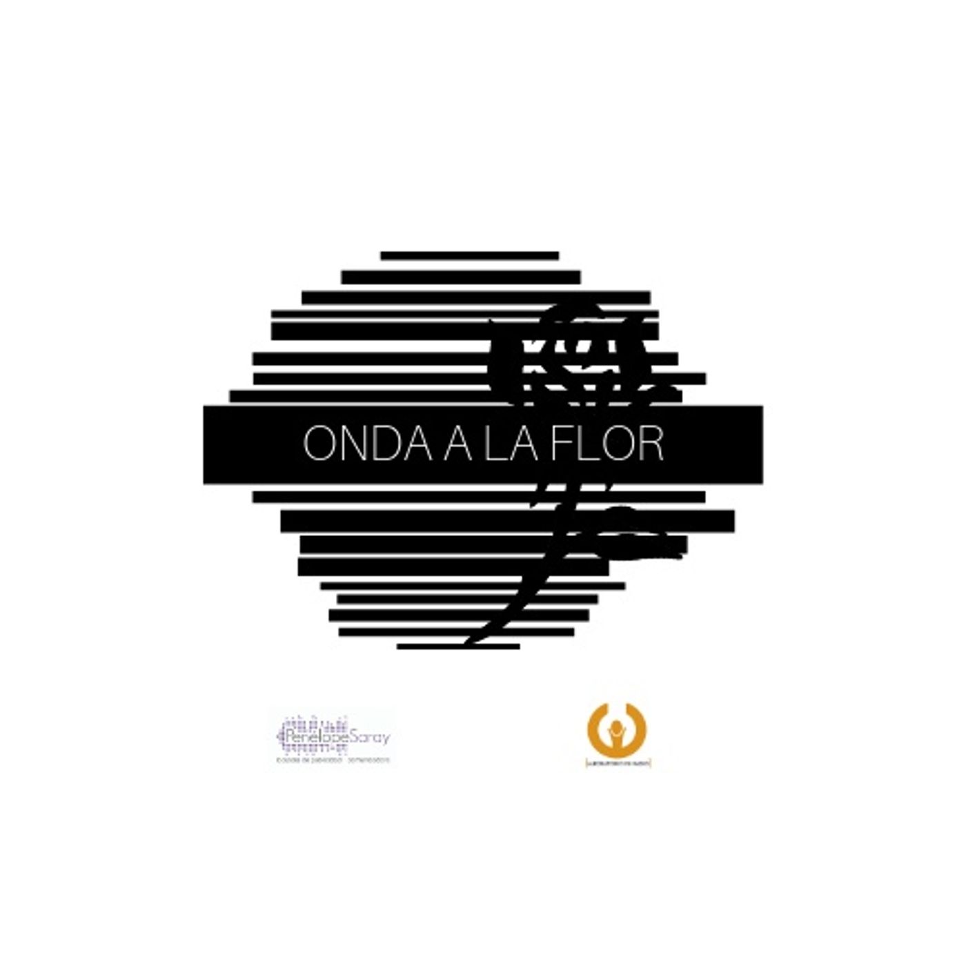 Ondas Elementales