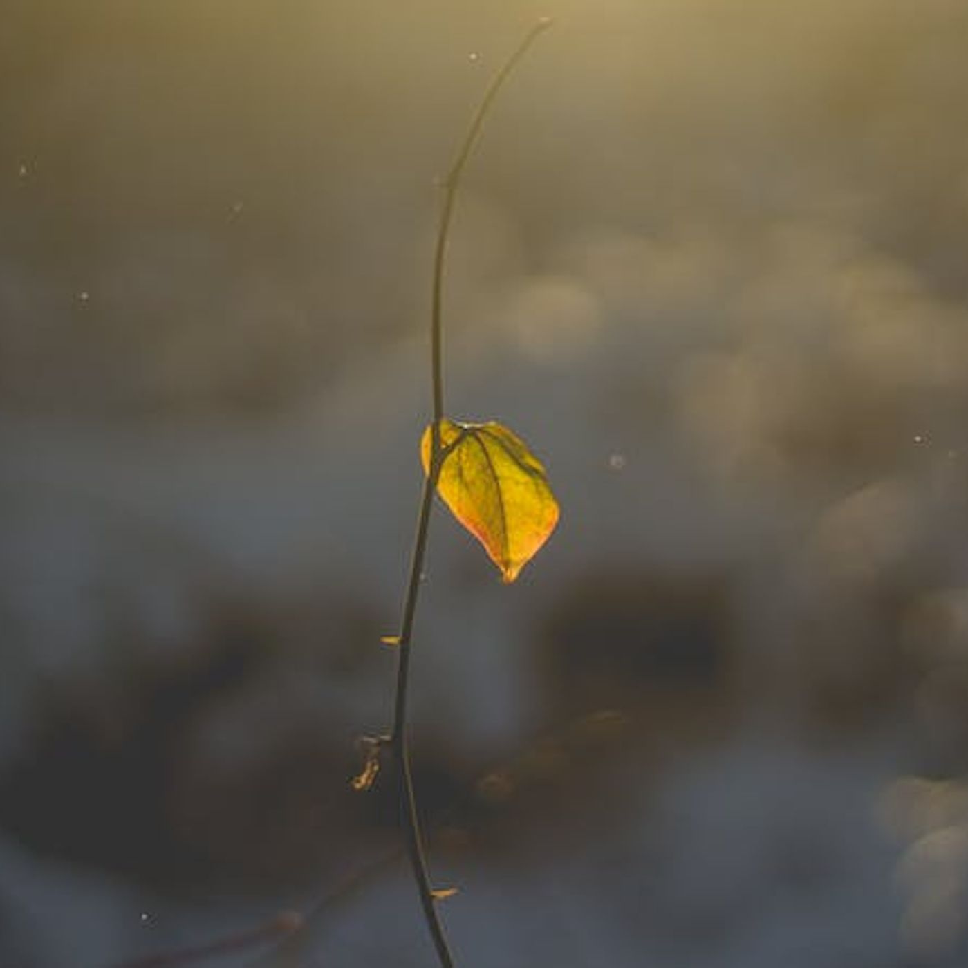 I’m Afraid of Surrendering to Christ — What Can I Do?