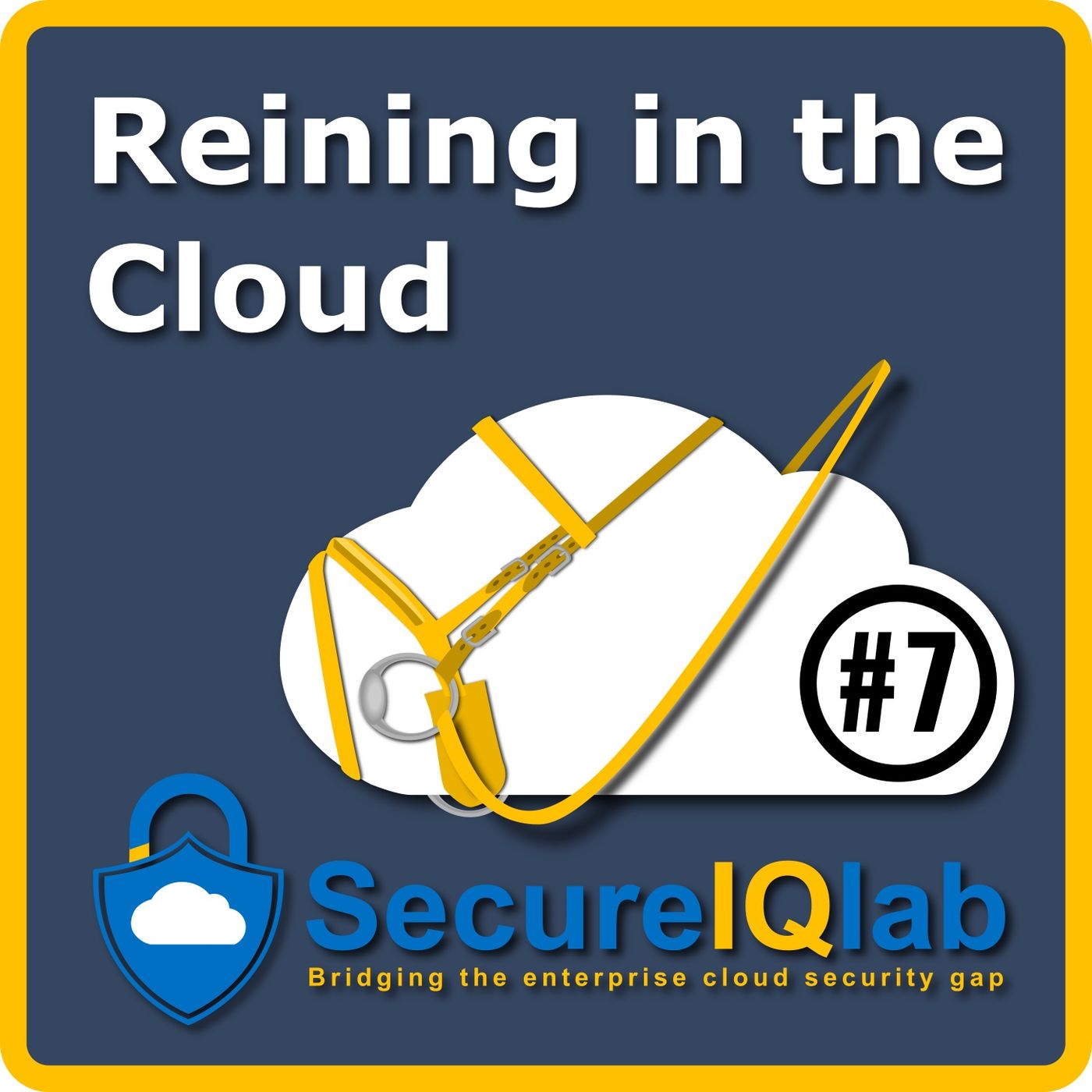 Reining in the Cloud