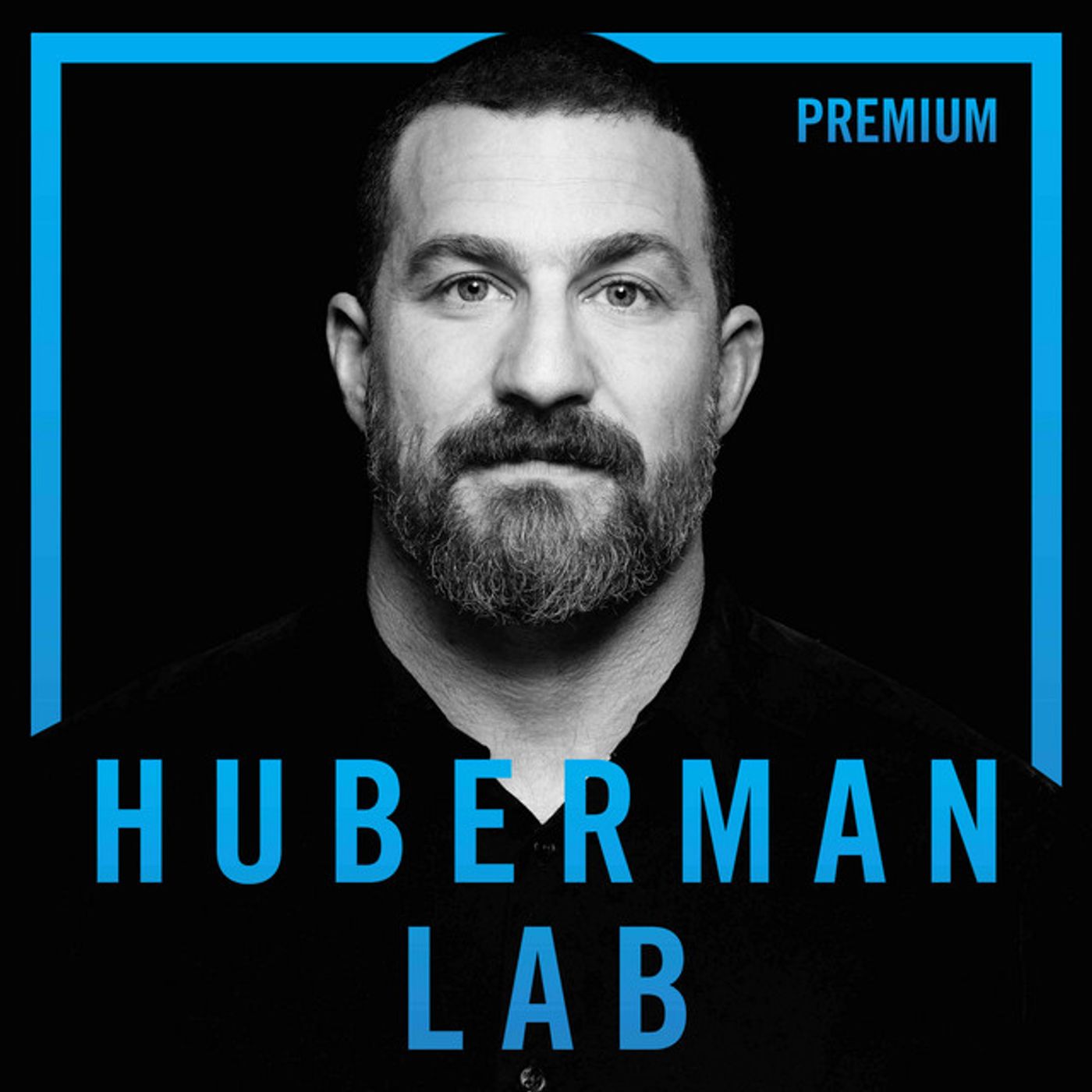 Huberman Lab Artwork