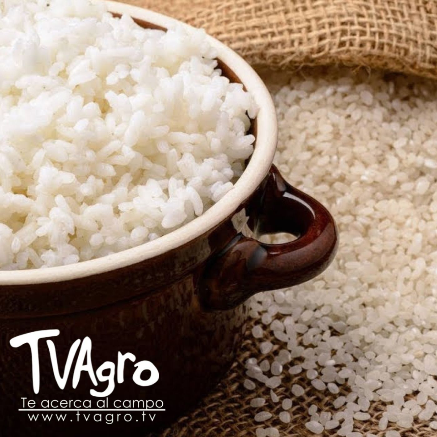 TV AGRO