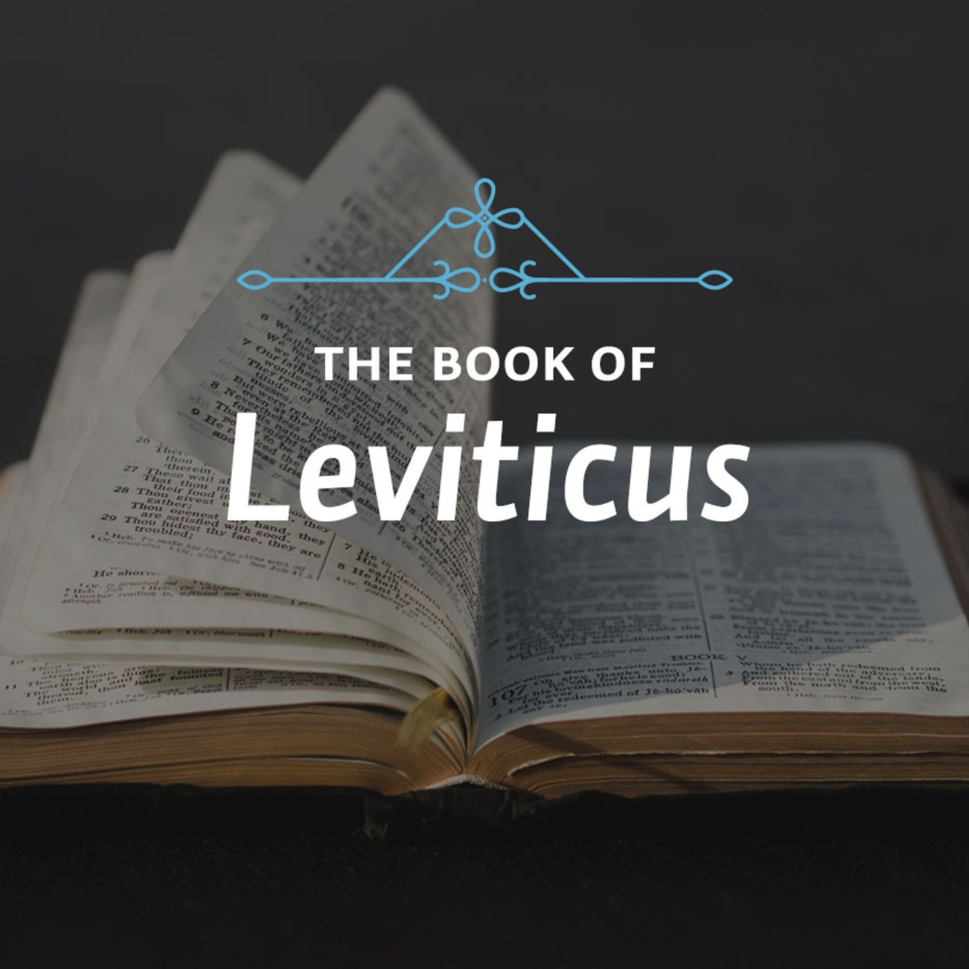 S4 Ep. 31 – Leviticus 1-5 episode artwork