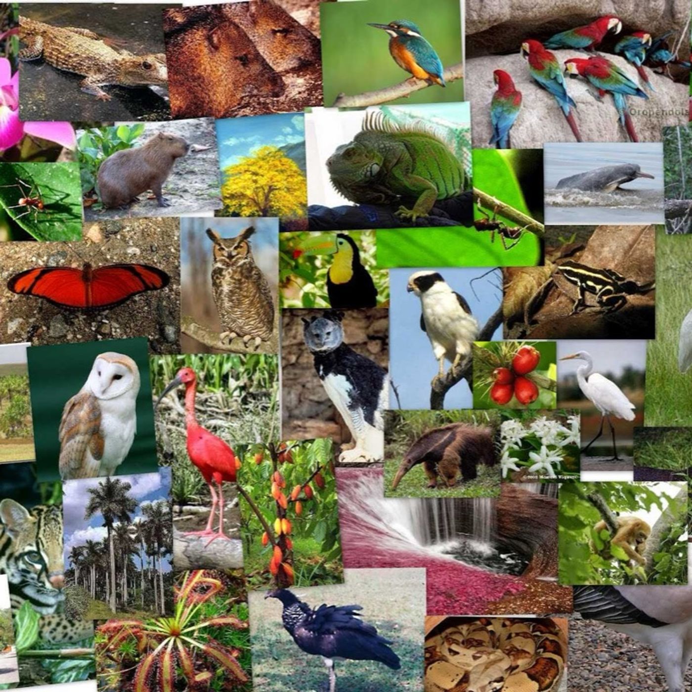 Clivaje socioambiental en México.
