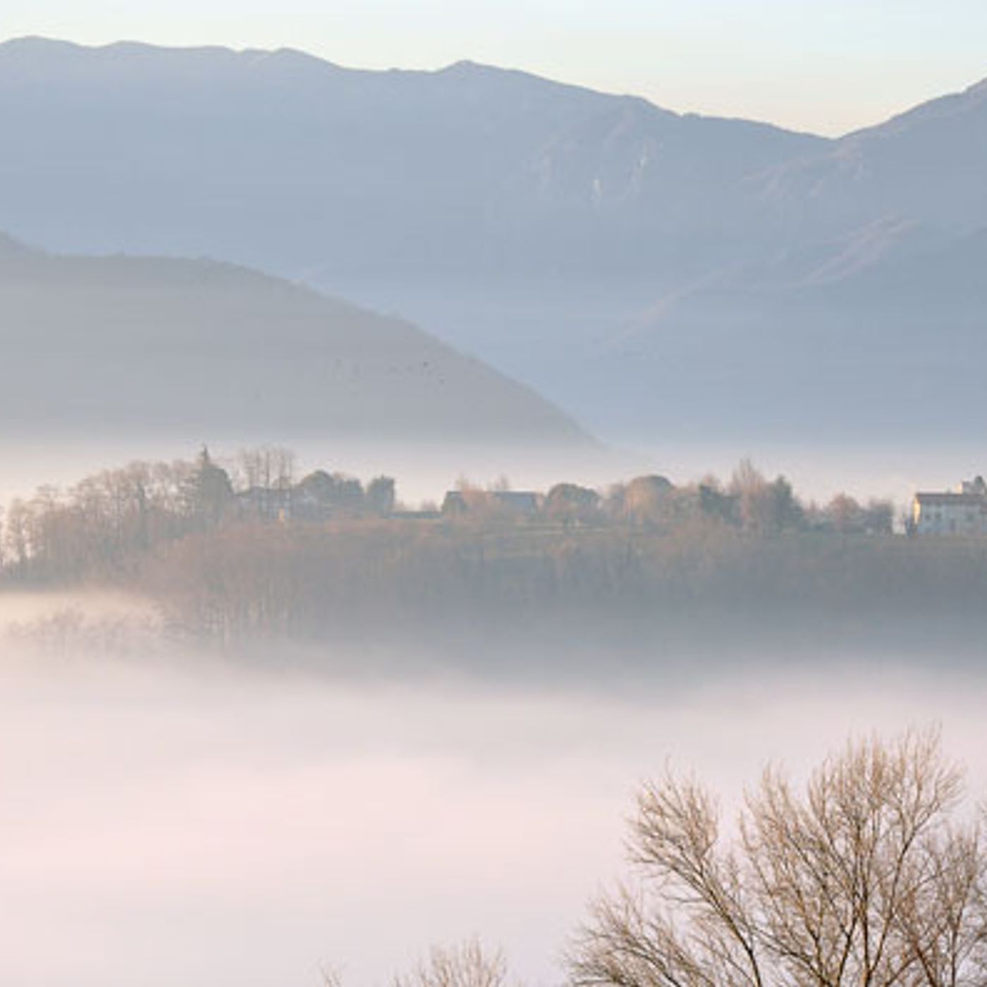 Tutelare e valorizzare le Bregonze: la mission dell’associazione Anthracotherium Tutelare e valorizzare le Bregonze: la mission dell’associazione Anthracotherium