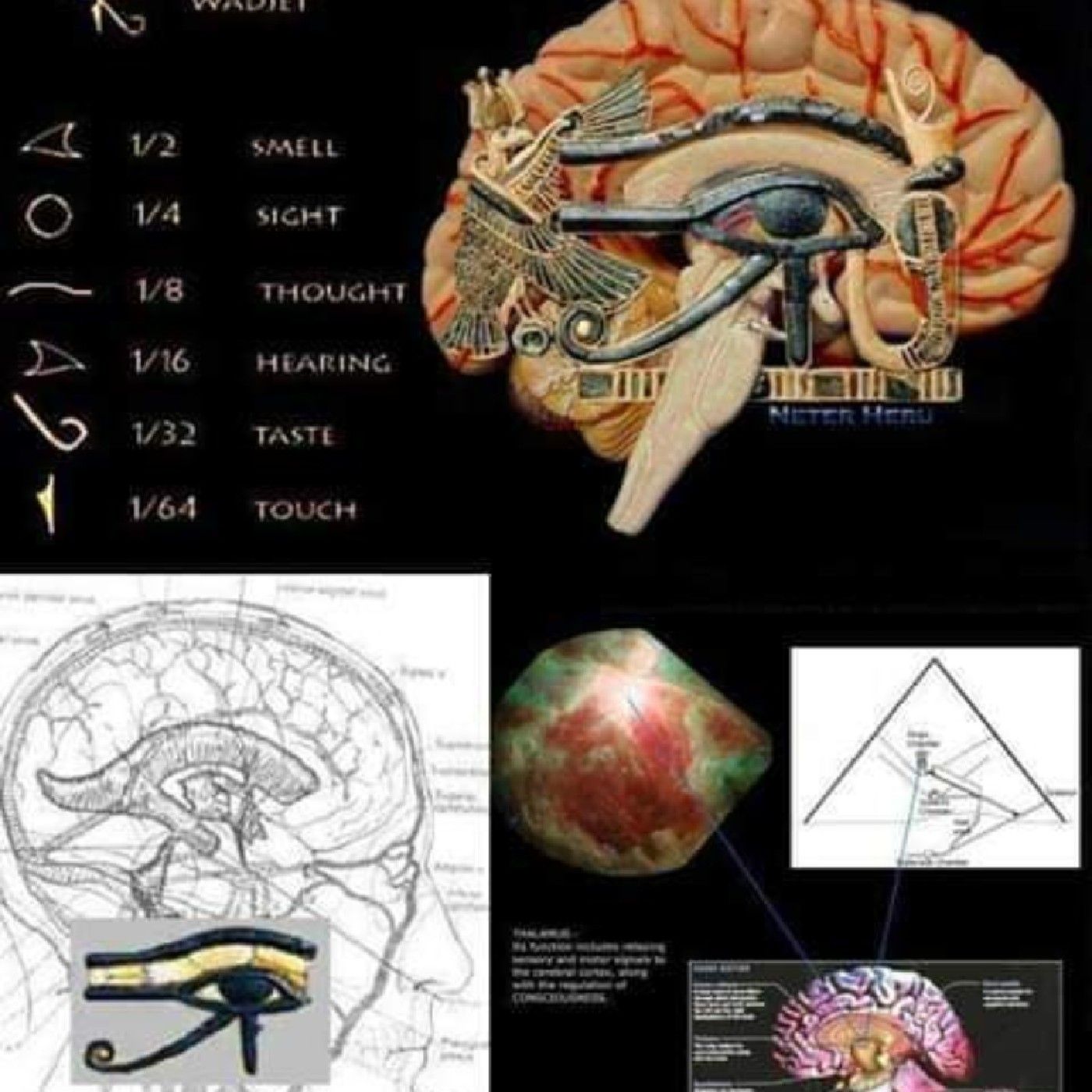El show de Ninamita Cahuet Lopez