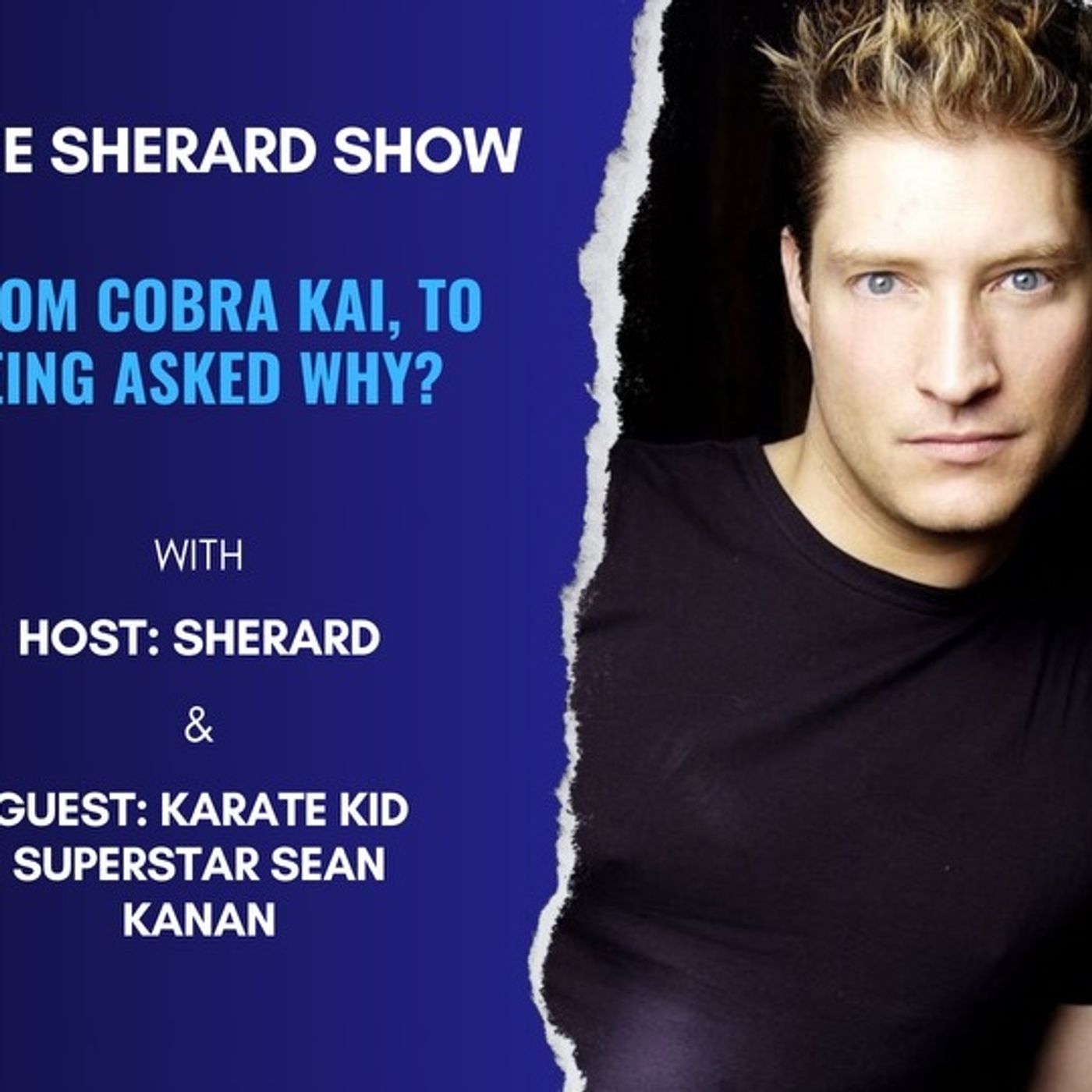 Being known globally as Mike Barnes is great! The Sean Kanan Exclusive Interview episode artwork