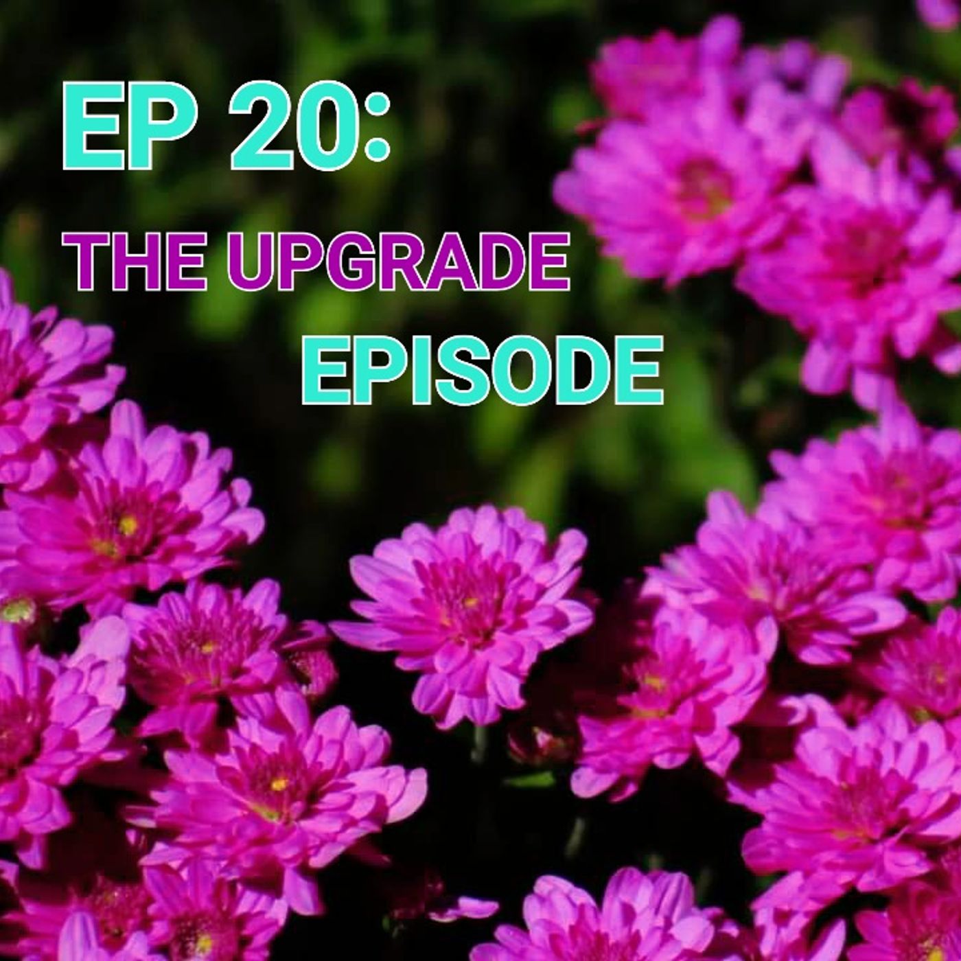 EP 20: The Upgrade Episode