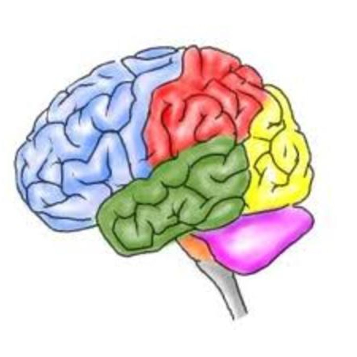 Concussion Matters